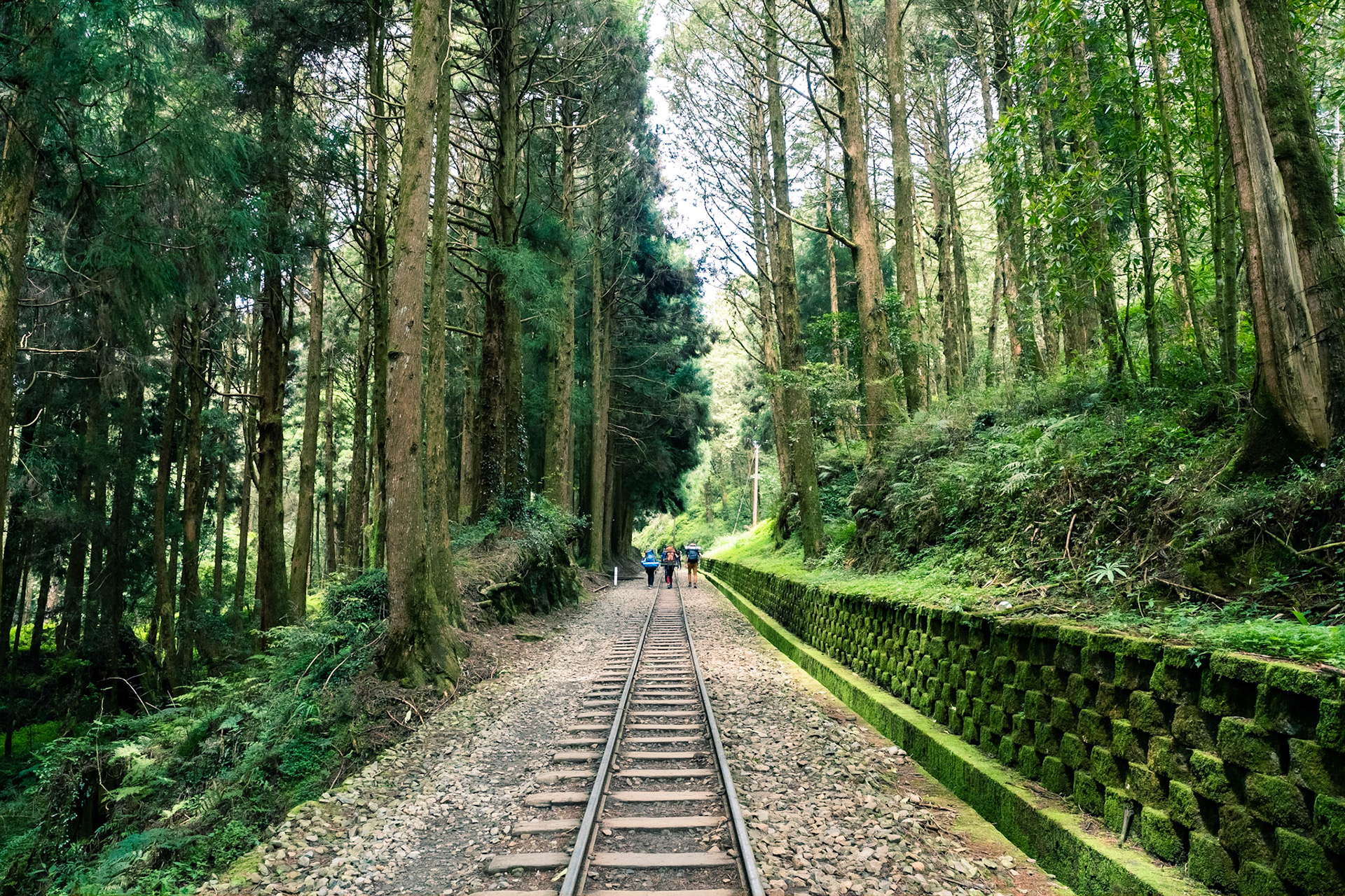 Alishan forest Railway