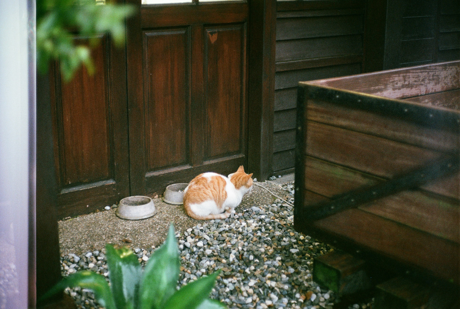 (AGFA Vista 400 Film)