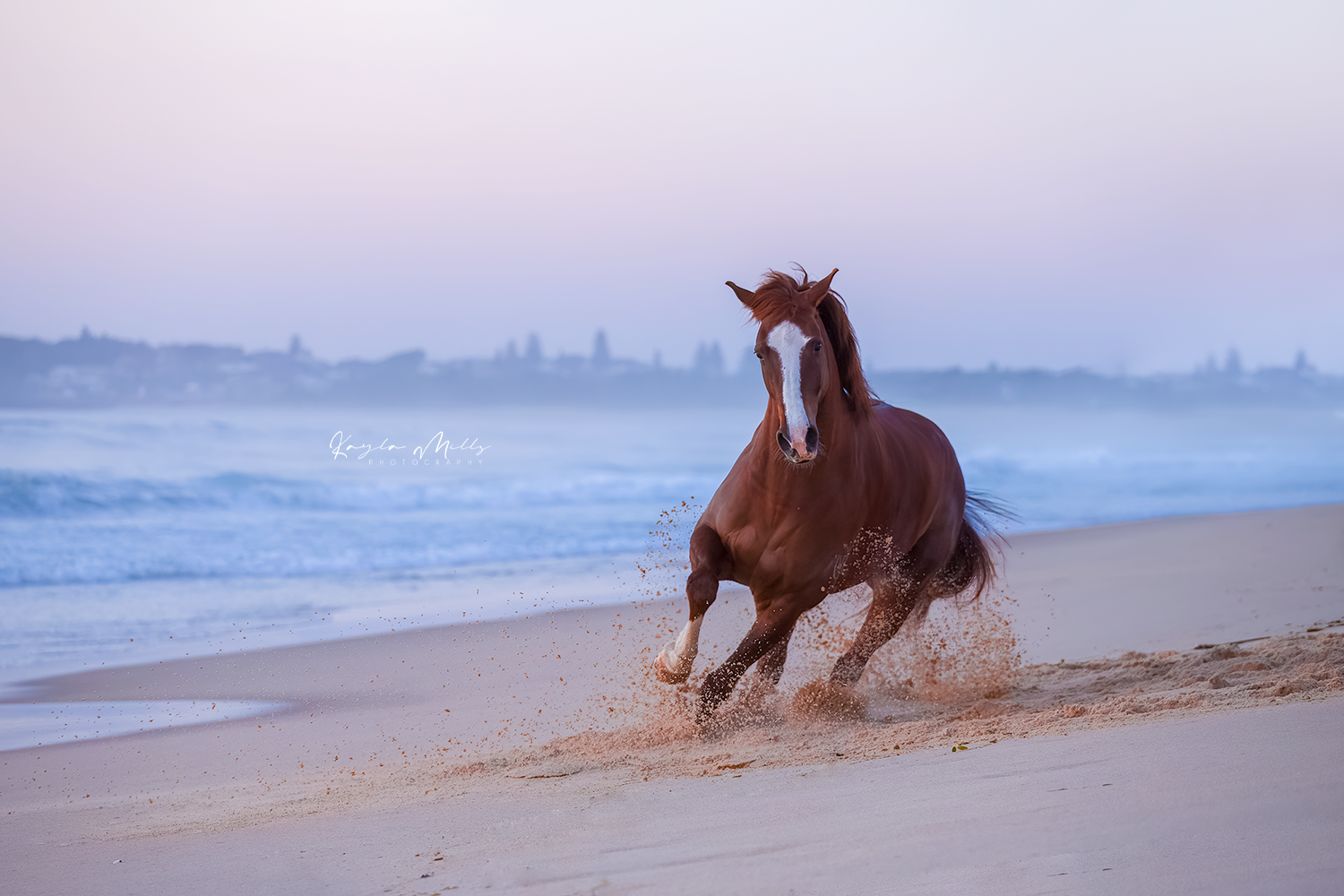 Blacksmiths Beach, Swansea NSW
