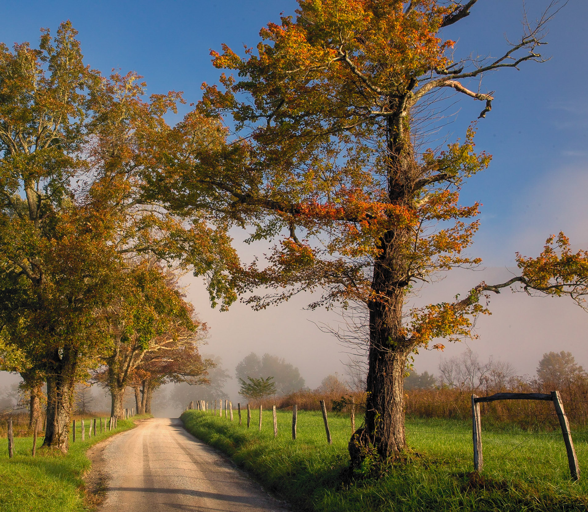 Cades Cove