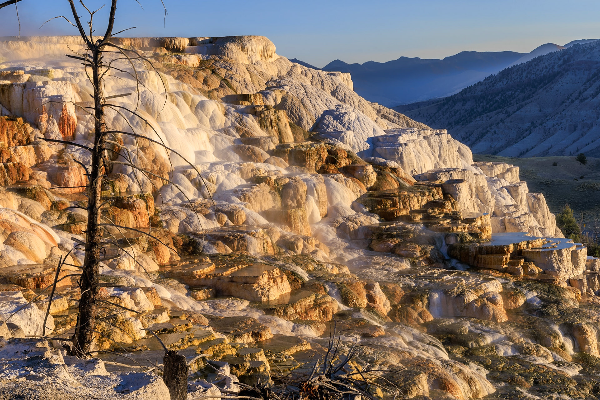 Limestone/Travertine, Mammoth Hot Springs, Yellowstone NP