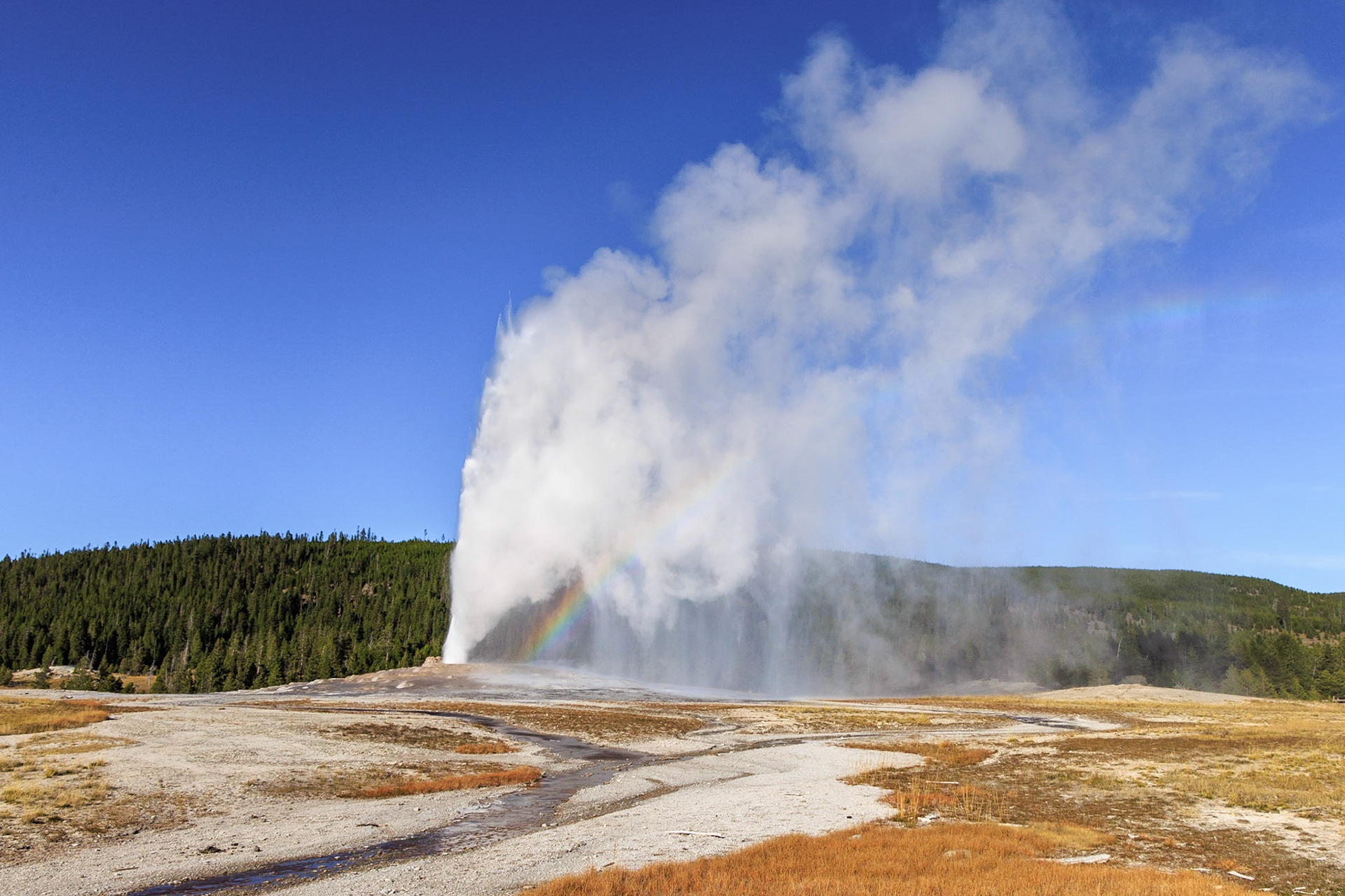 Old Faithful, Yellowstone NP