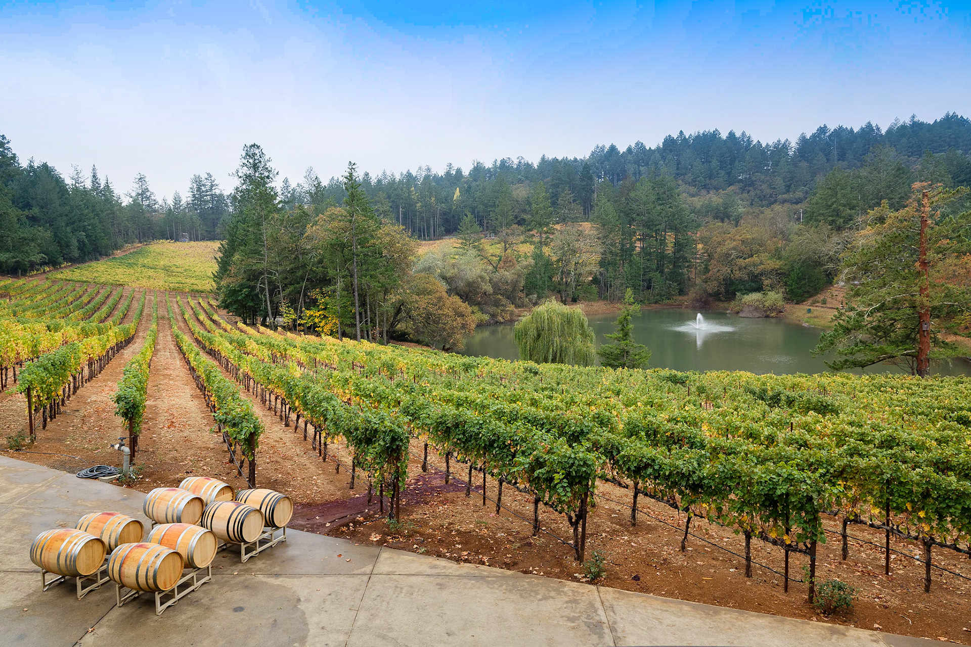 Sherwin Family Winery