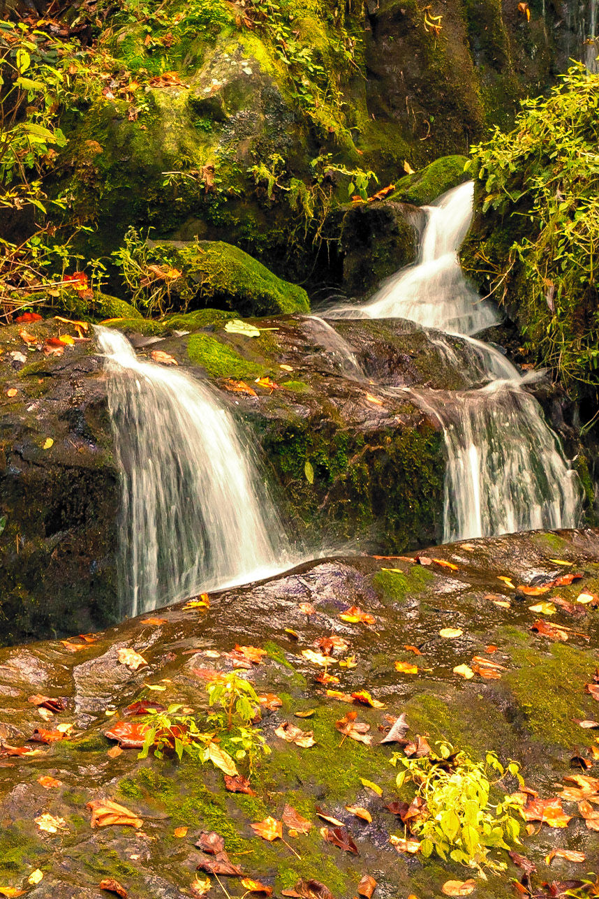 The Place of a Thousand Drips