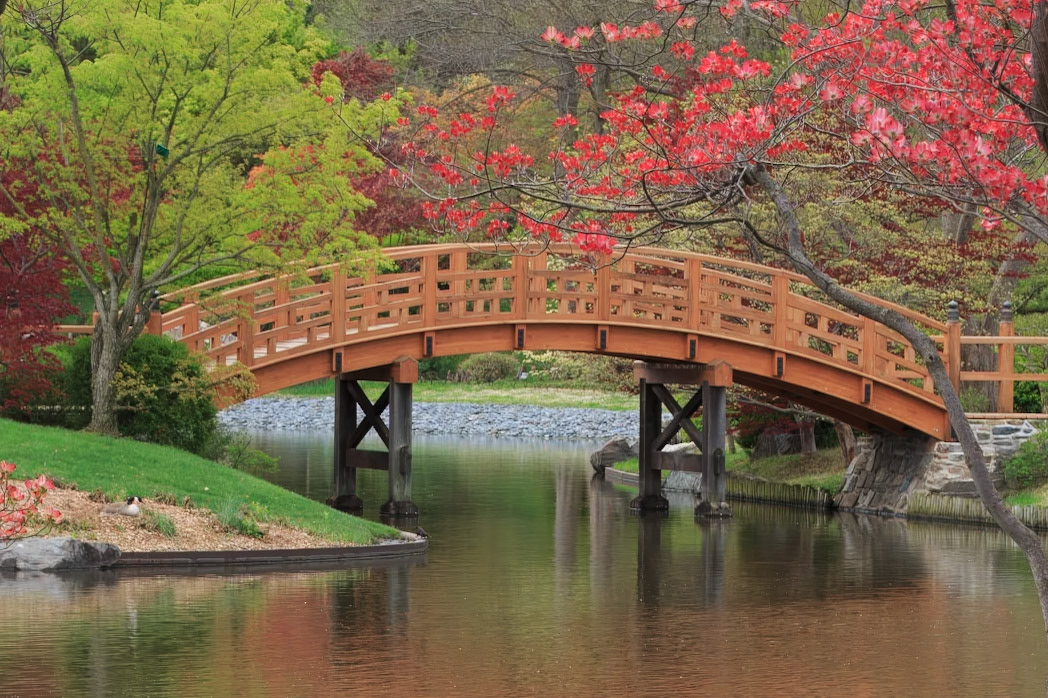 Bridge to Teahouse Island 2015