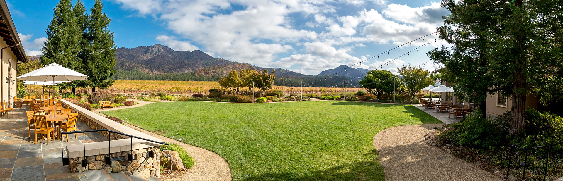 St. Francis Winery
