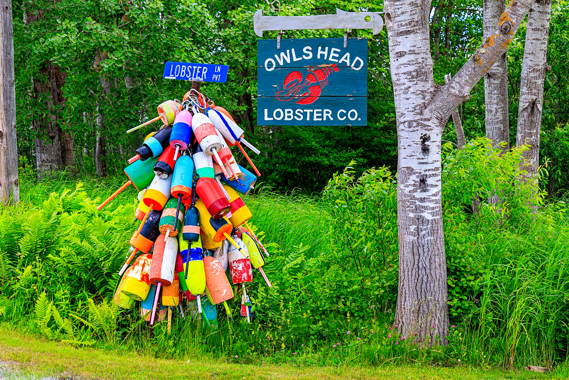 Lobster Buoys, near Penobscot Bay, Rockland