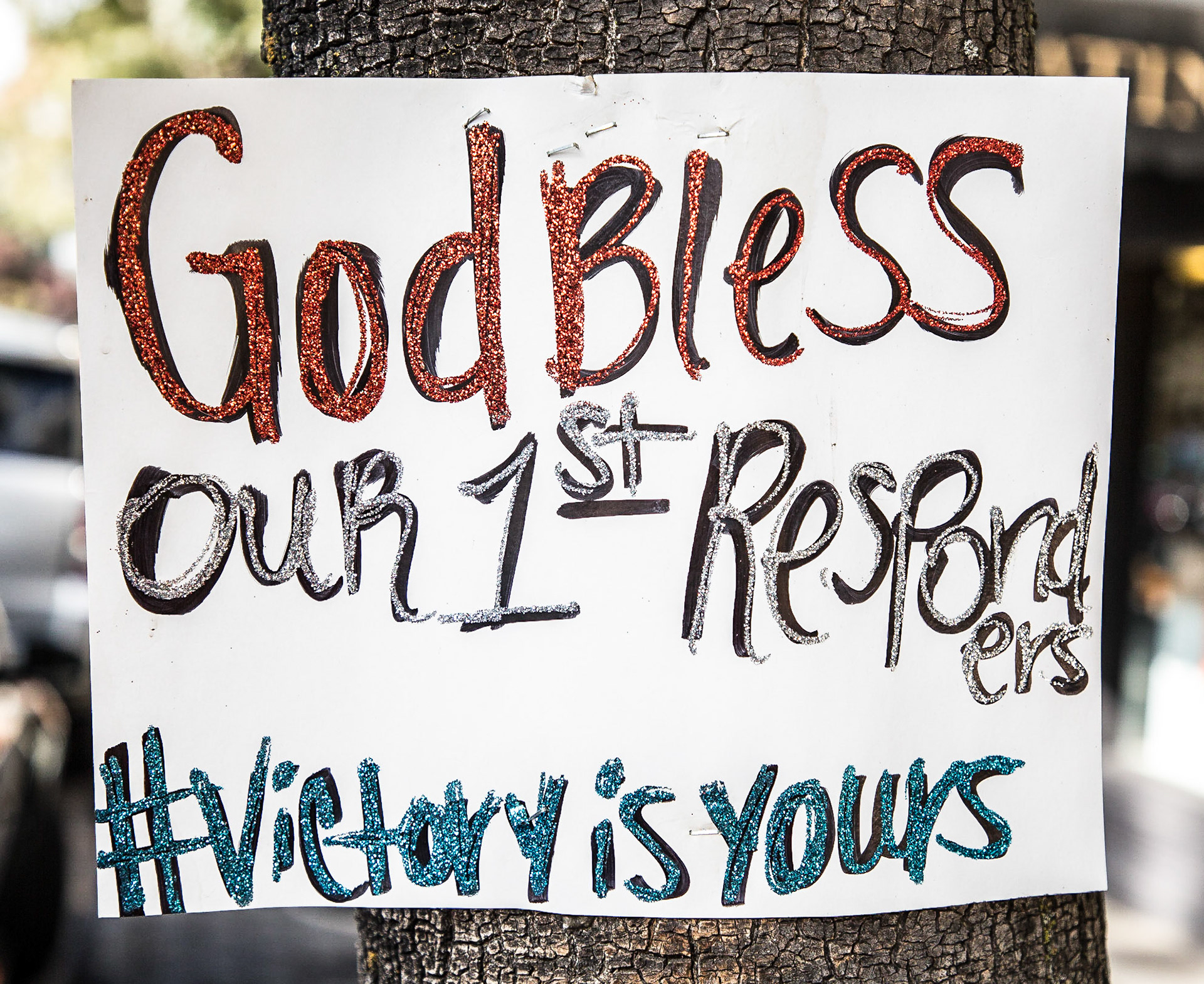 After the Fires 2017