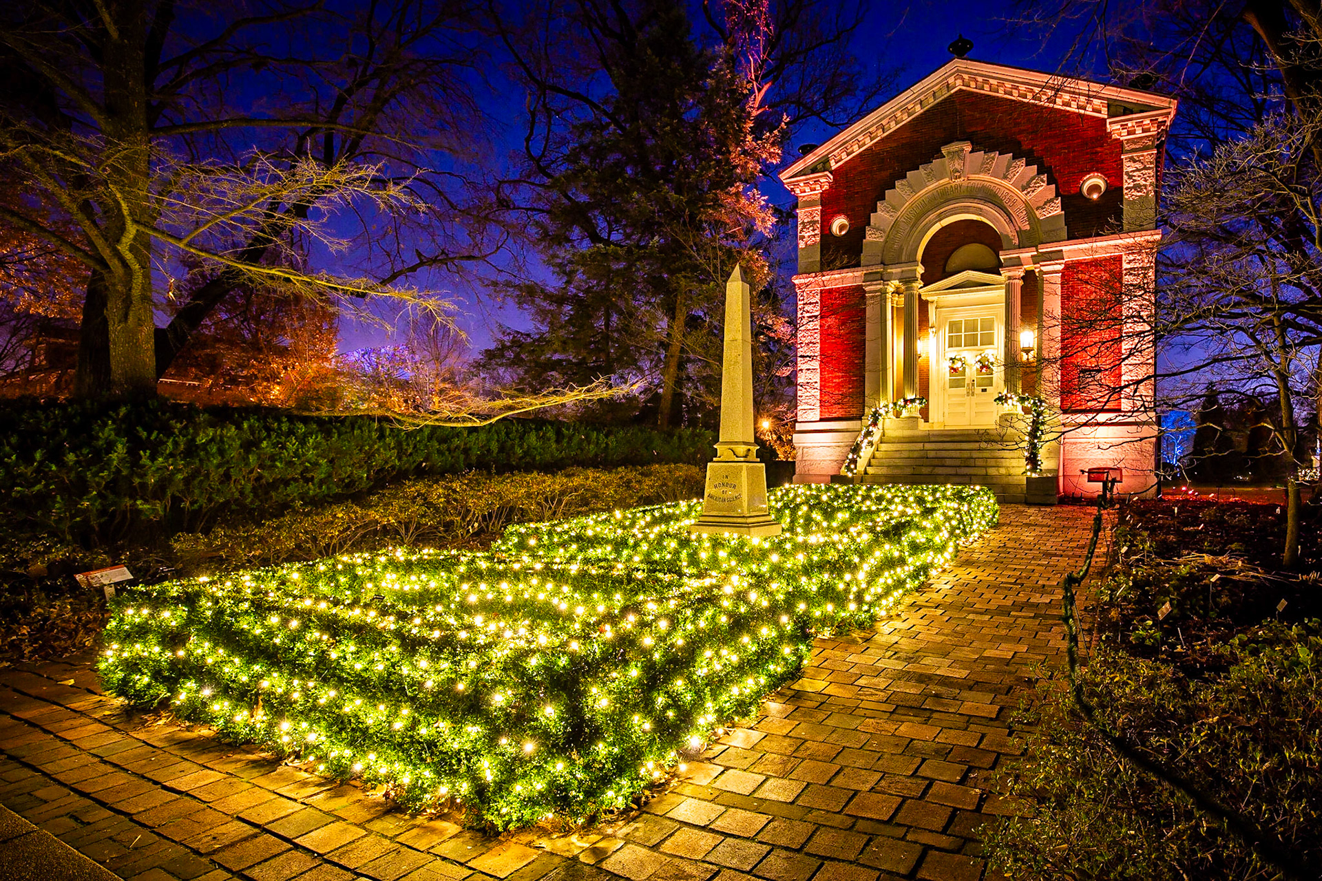 Garden Glow 2015