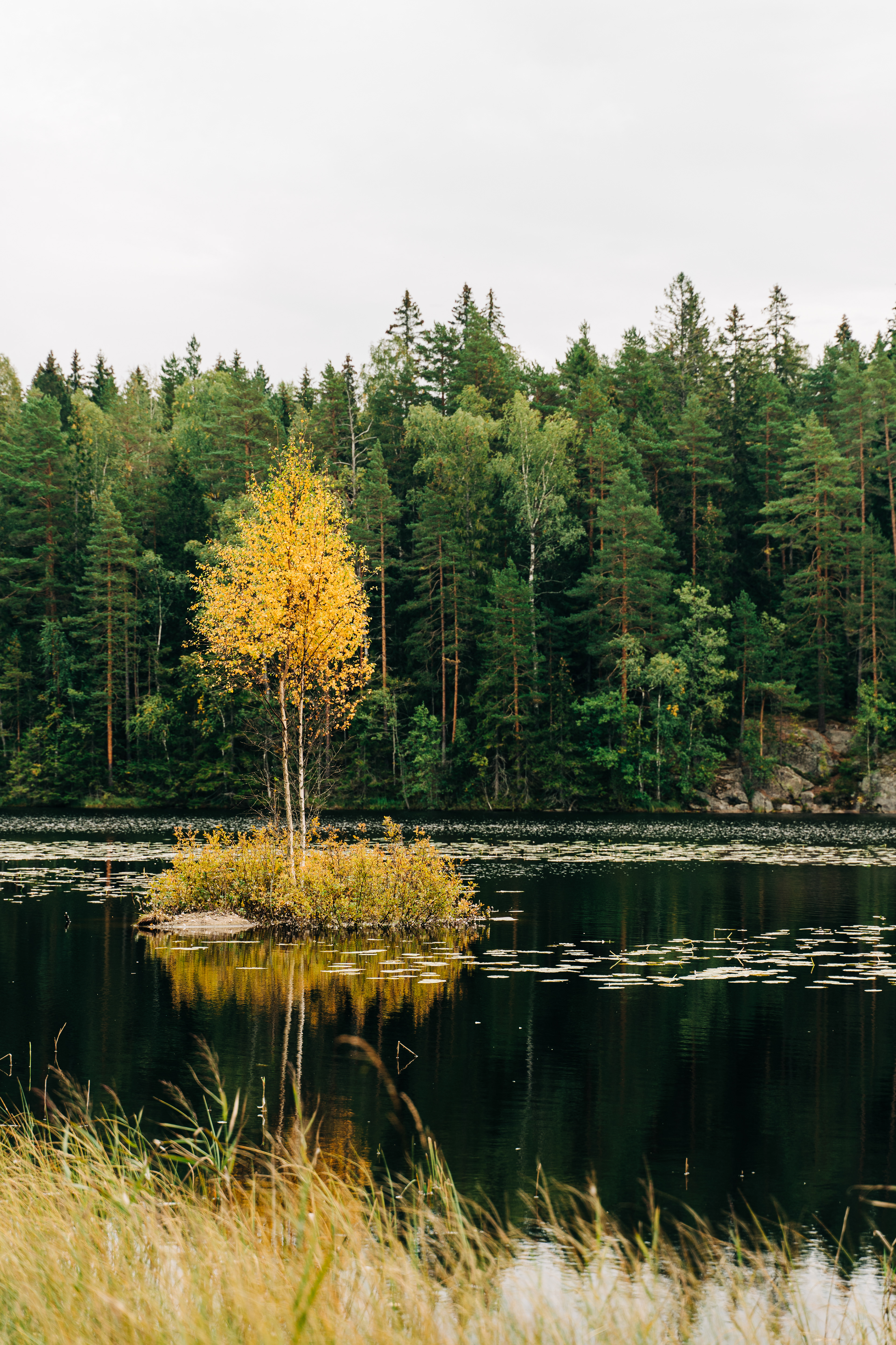 Nuuksio National Forest, Finlandia