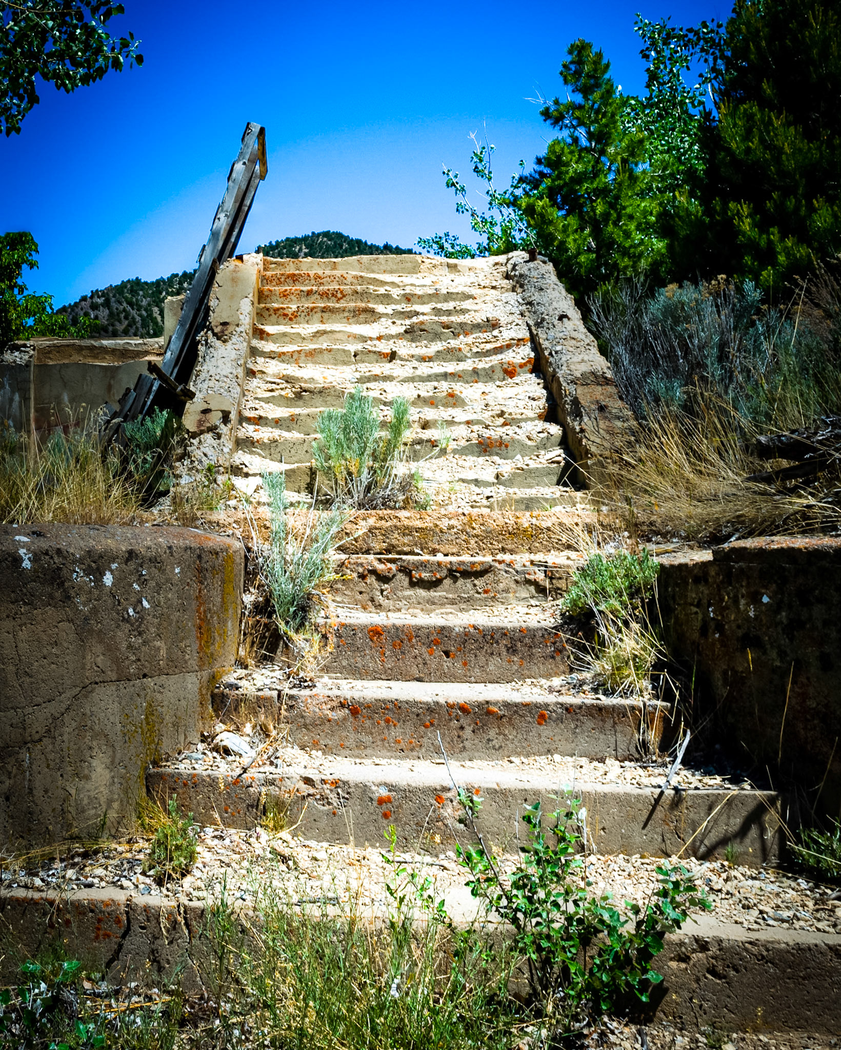 Stairway to memories - Mammoth, UT