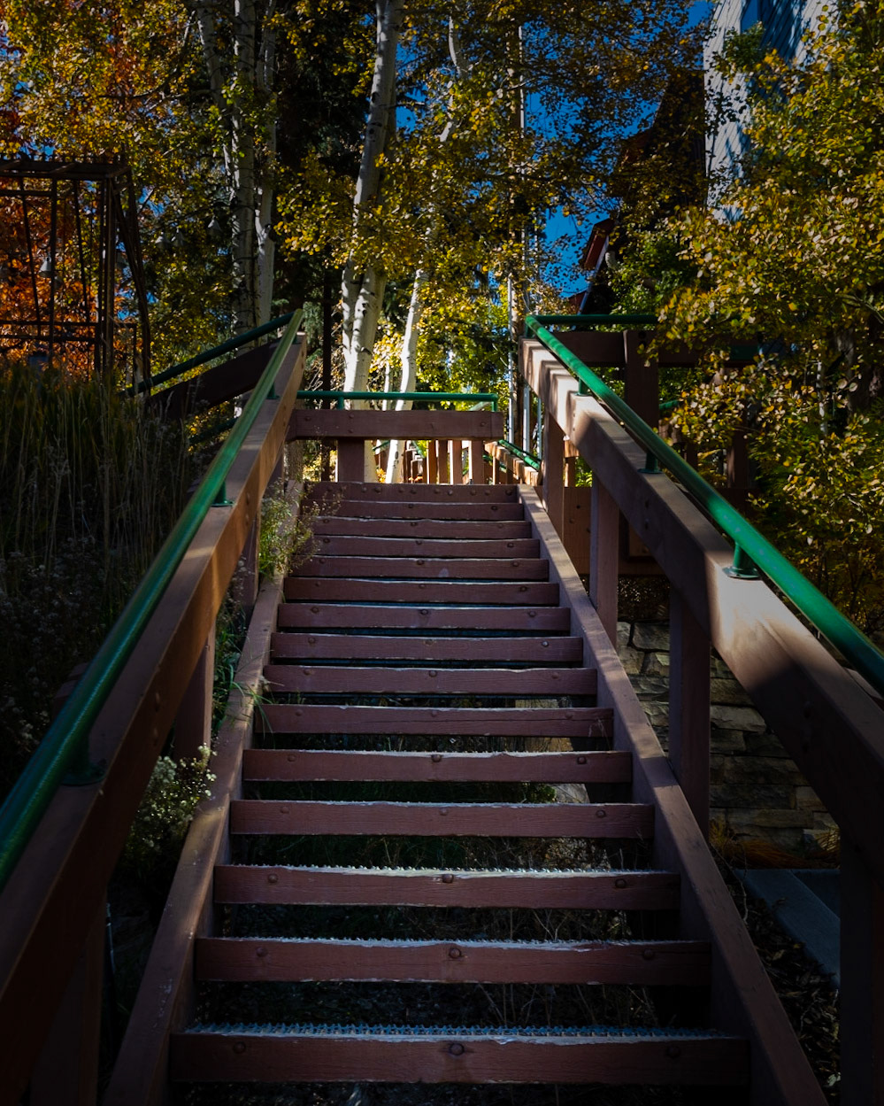 Main Street to Park Avenue