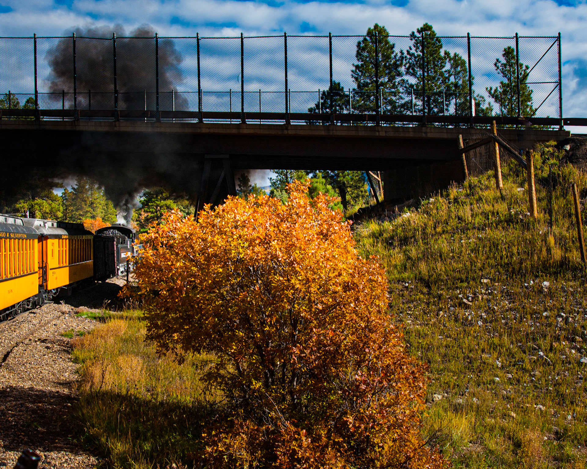 Durango and Silverton Railroad - Durango, CO