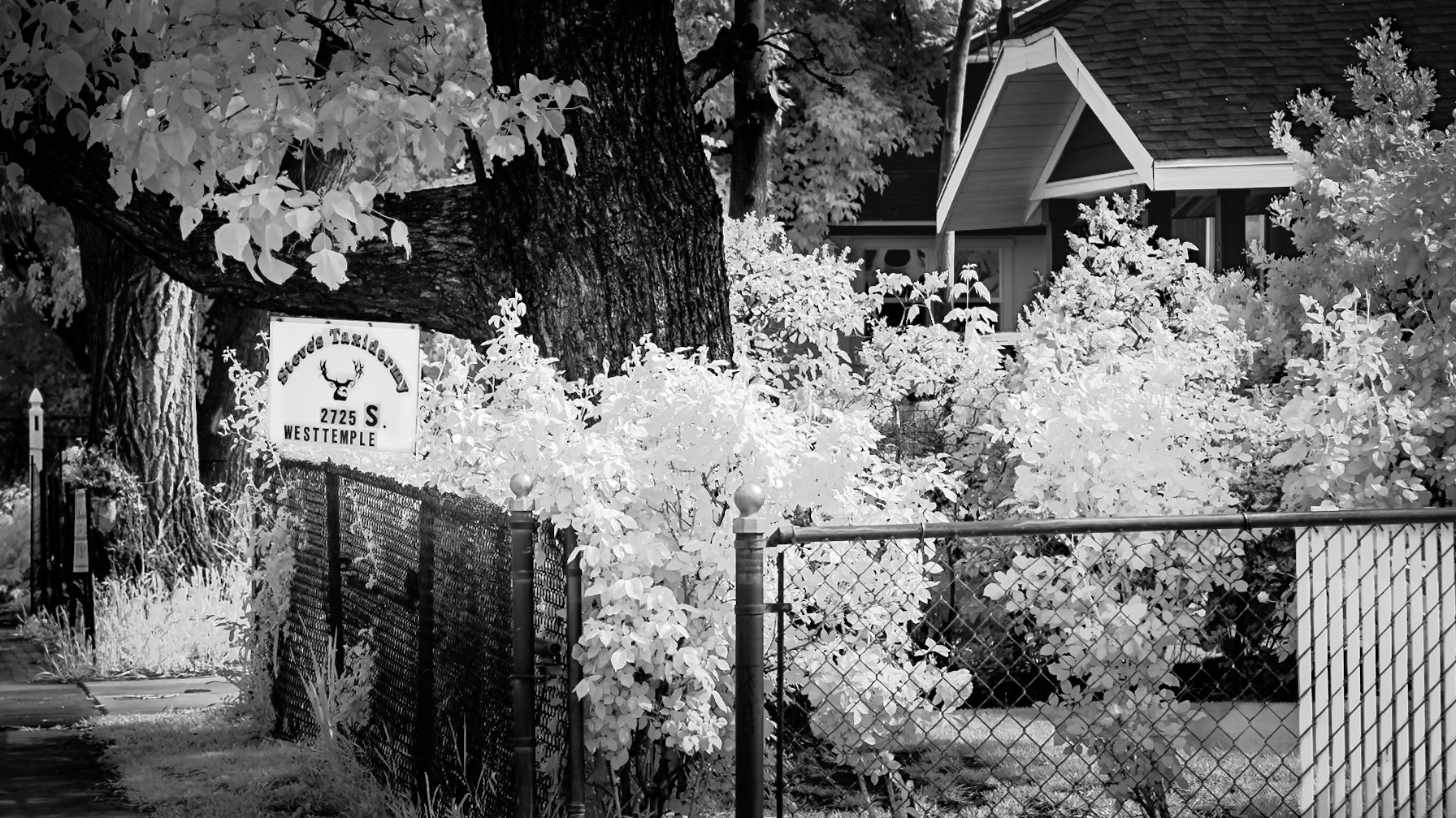 Taxidermist - Salt Lake City, UT