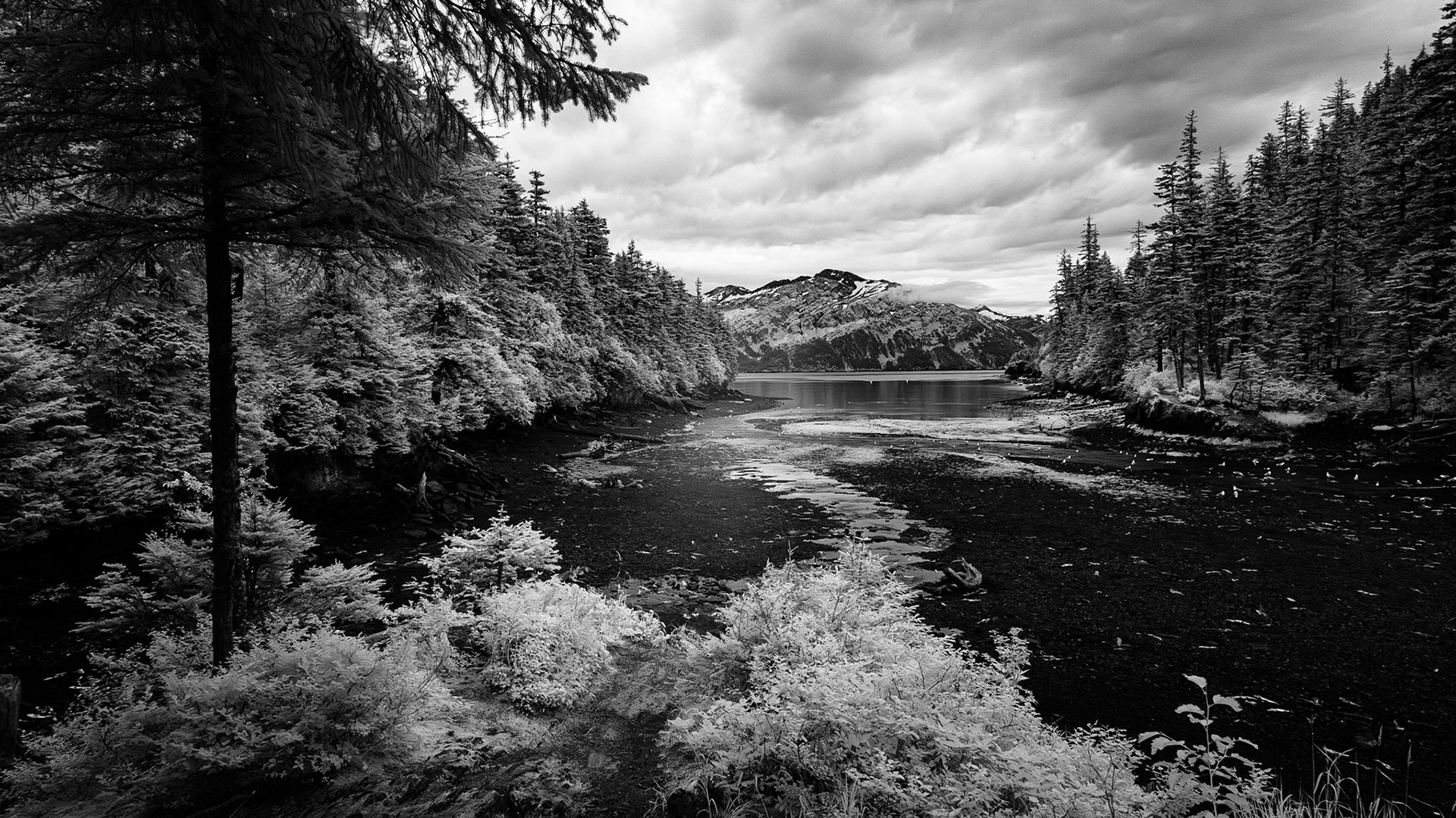 Prince William Sound (IR)