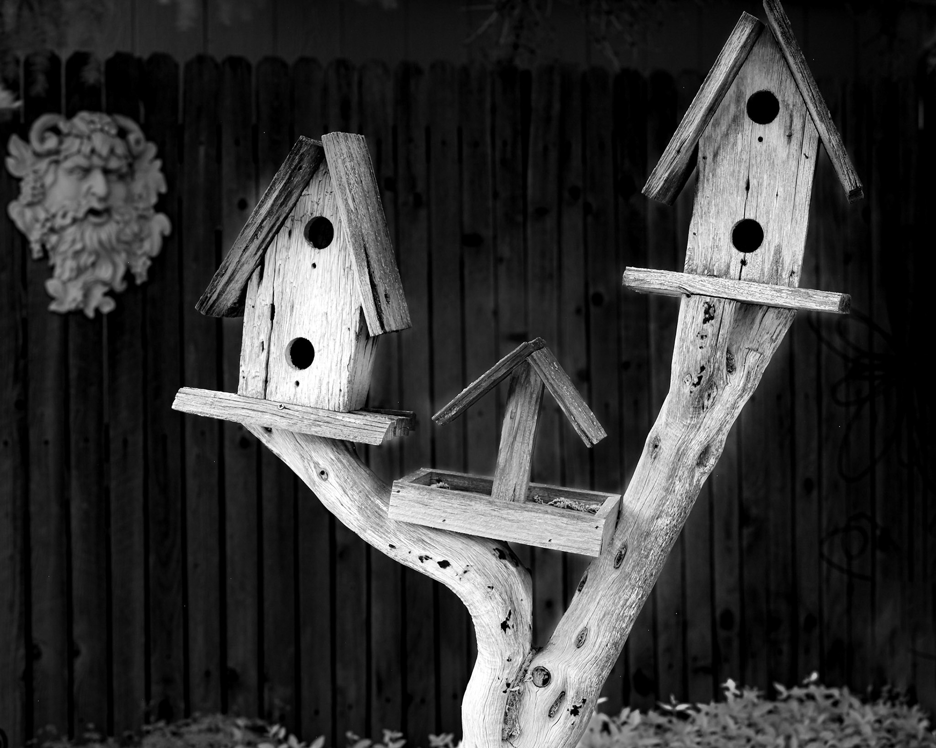 IR Birdhouses