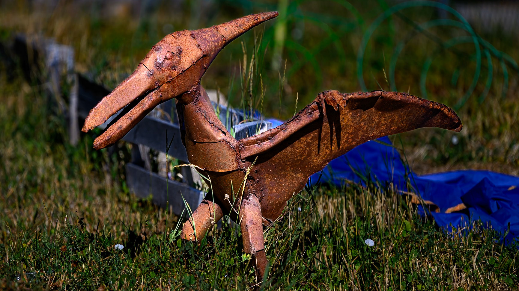 Pterodactyl