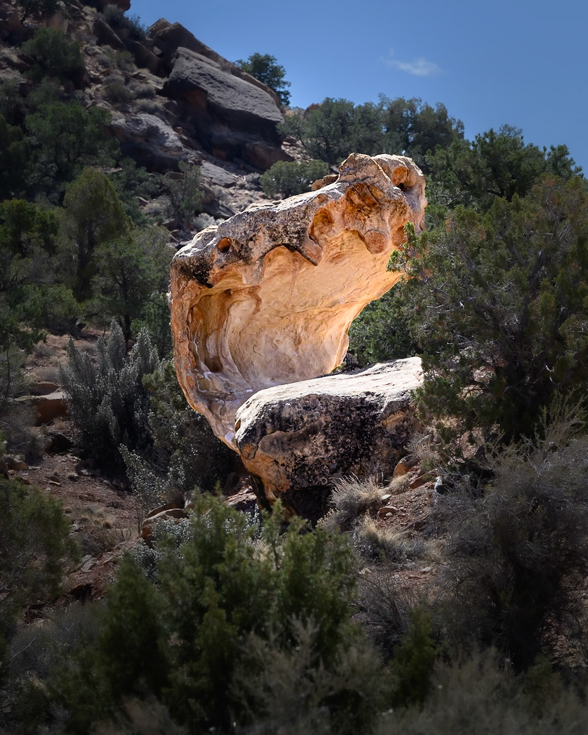CU - Capitol Reef Nat'l Park