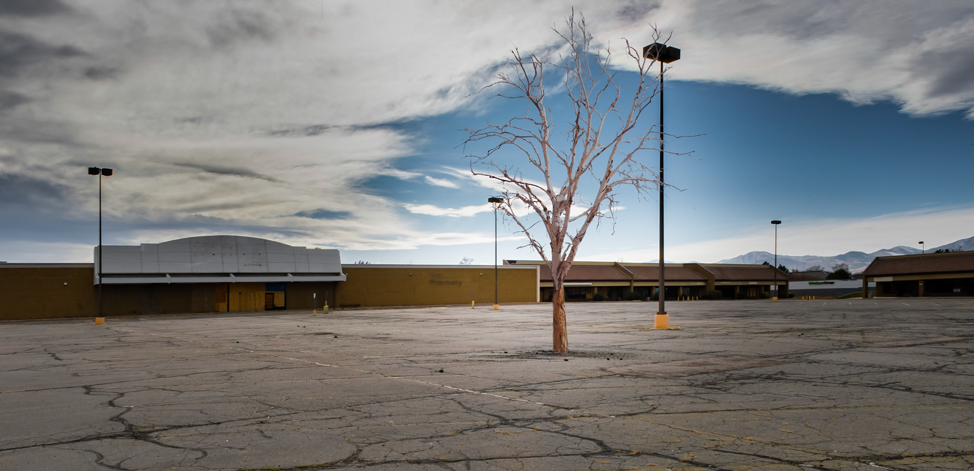 Kmart and Tree - Kearns, UT