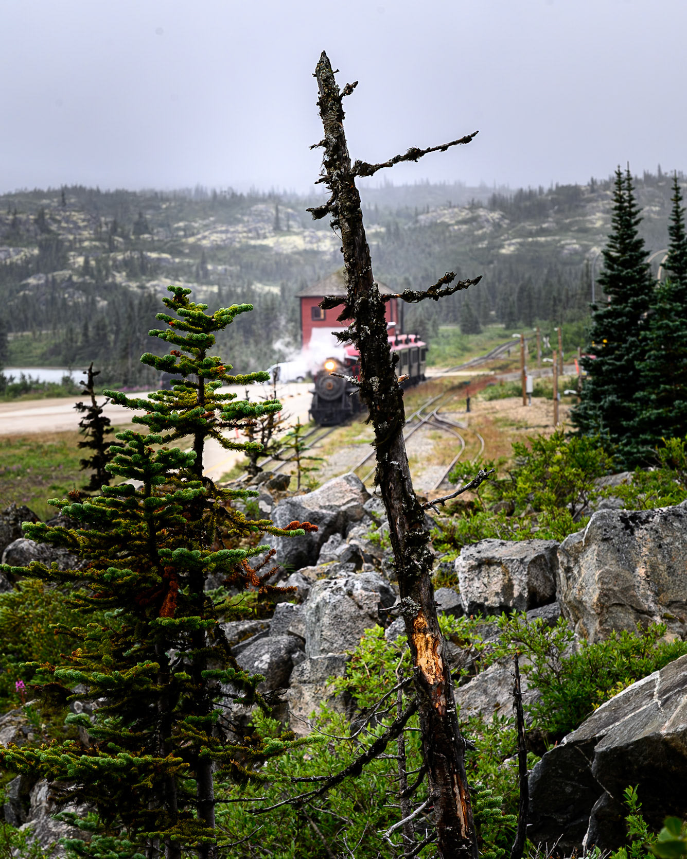 Steam Train at Fraser Border Crossing