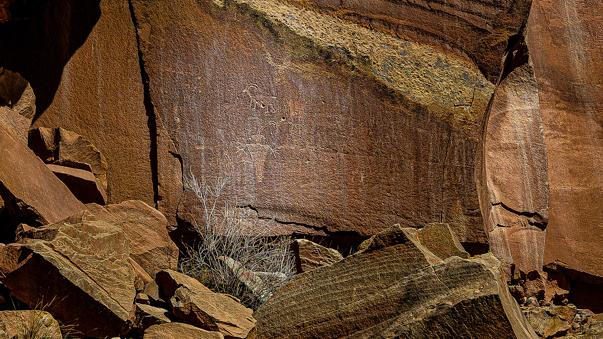 Petroglyph Panel 2 - Capitol Reef Nat'l Park
