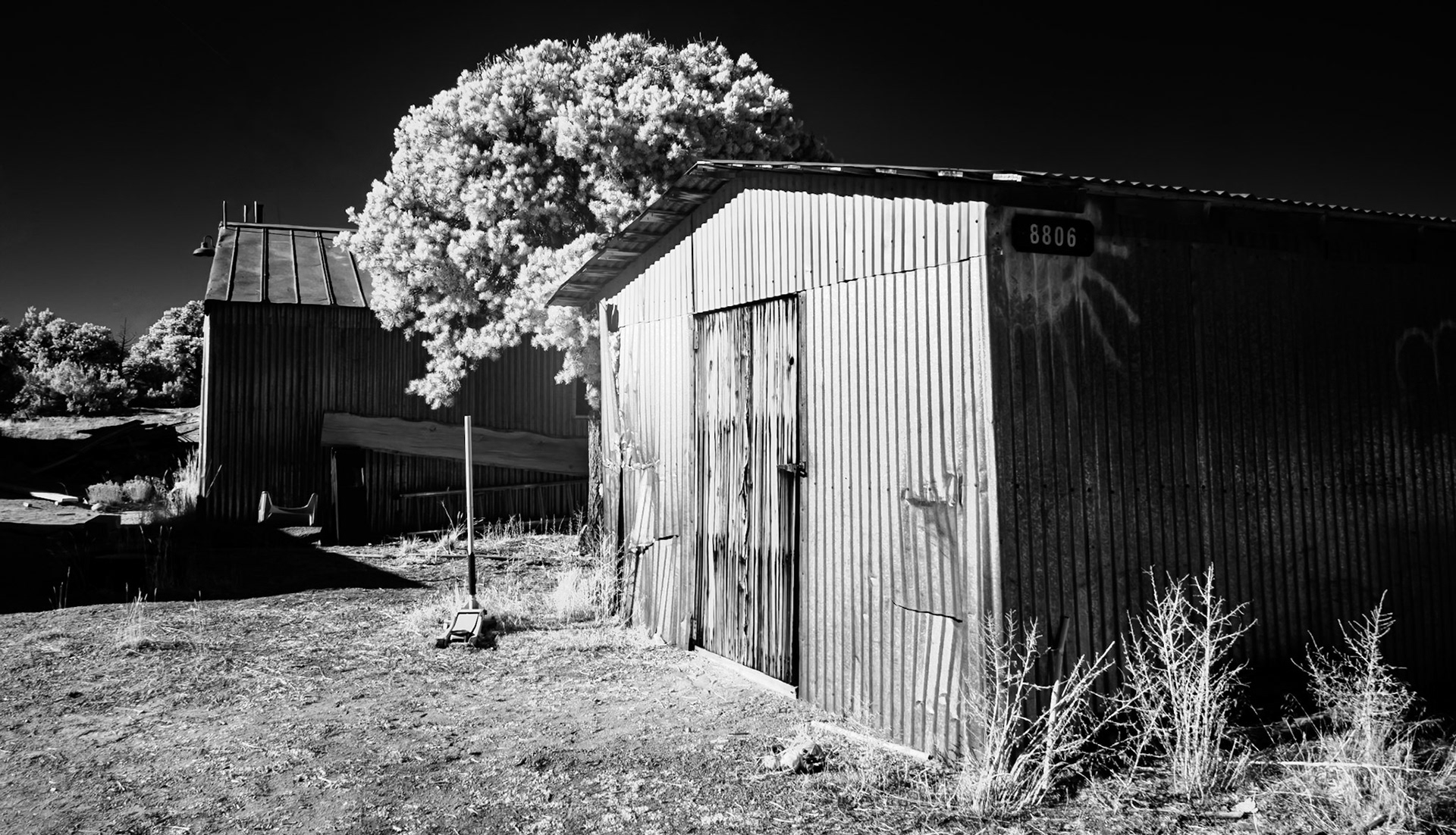 Out by the old tin shed