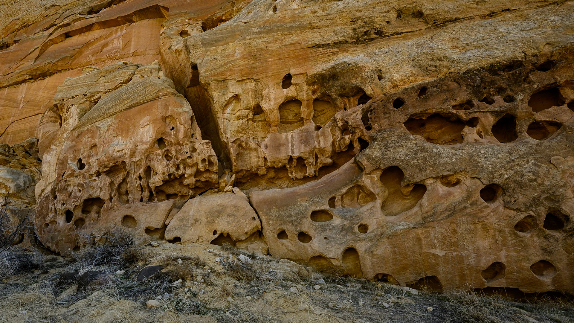 Gnarly Behunin Cabin Rock Wall - Capitol Reef Nat'l Park