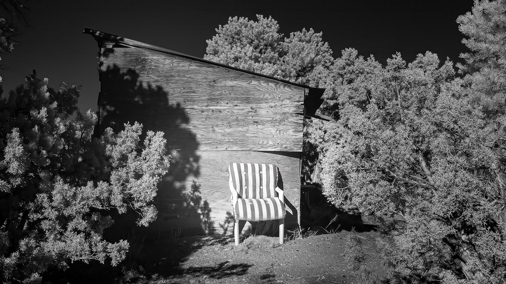 The Striped Chair