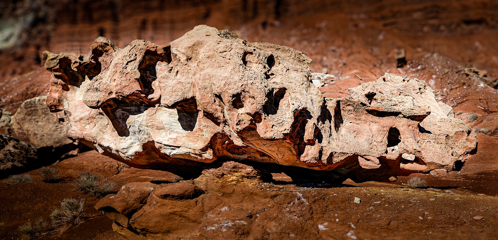 Long Craggy Rock - Capitol Reef National Park