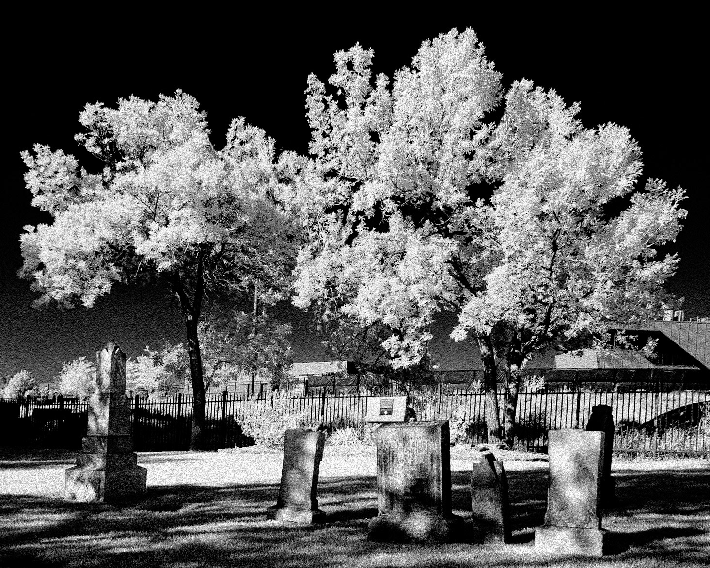 Wight's Fort Cemetery - West Jordan, UT (IR)