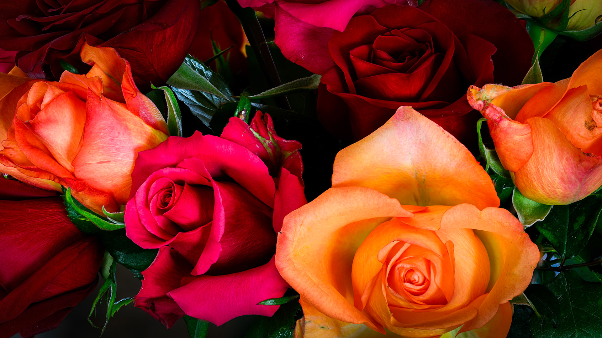 Table Centerpiece Roses