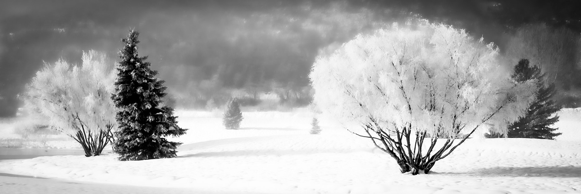 Frosty & Cold - Wasatch Mountain State Park, UT