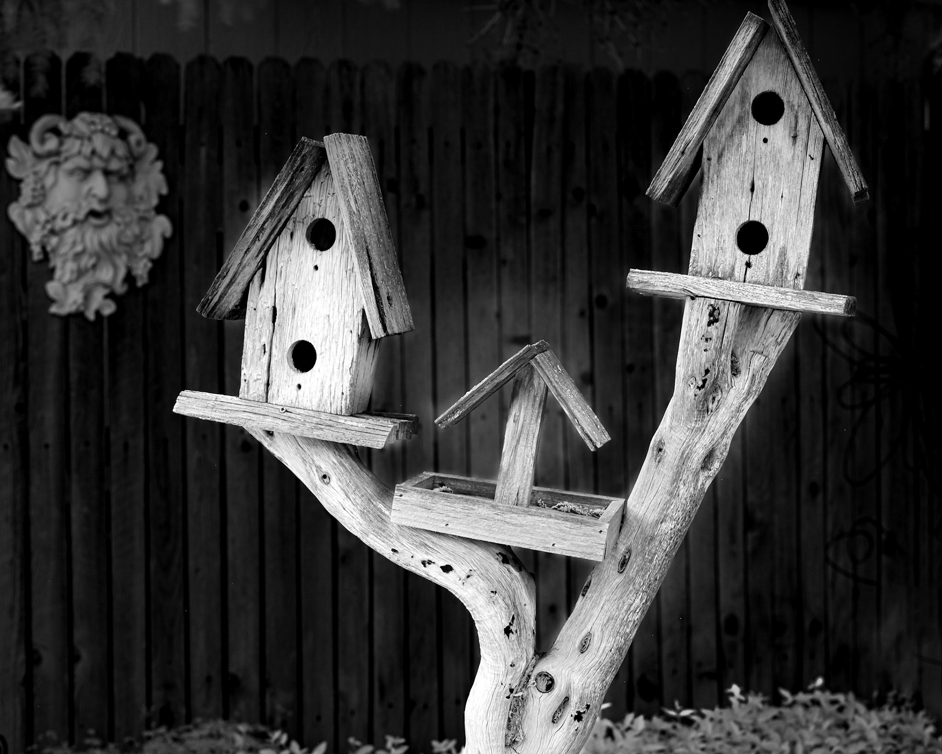 IR Bird Houses