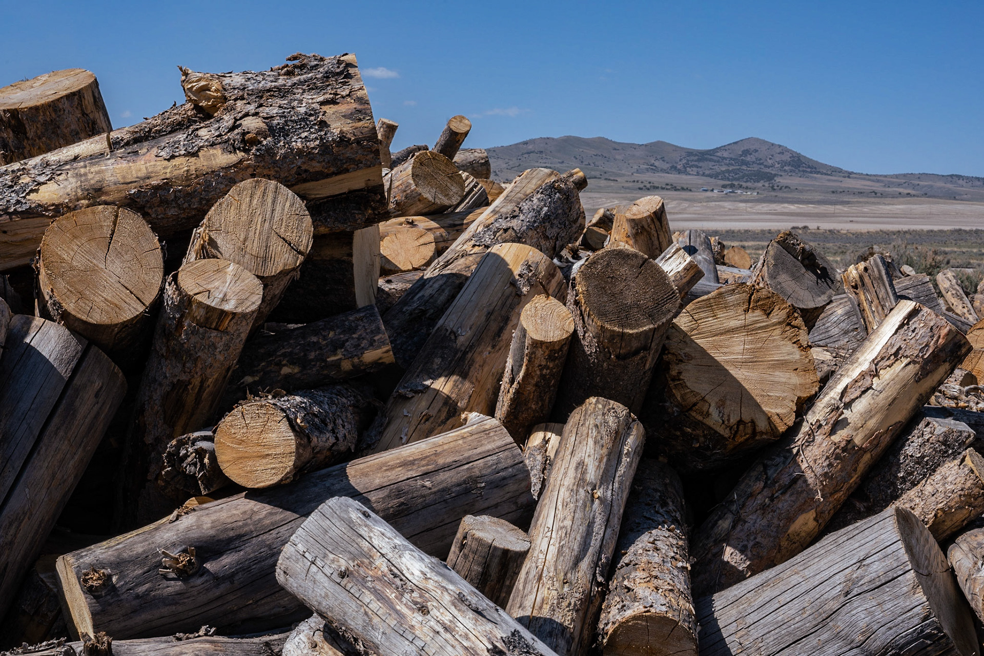 Golden Spike National Historic Park