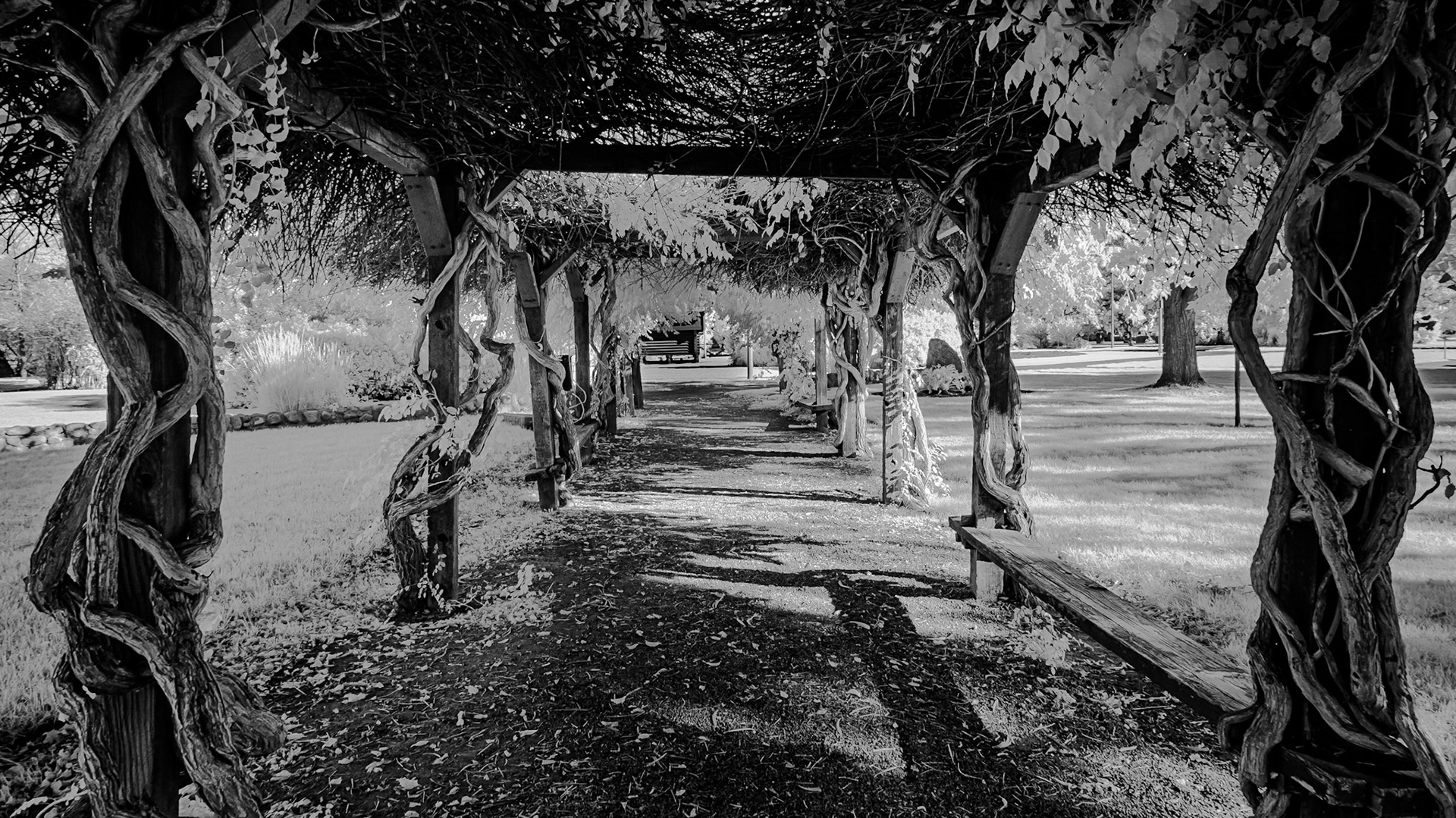 International Peace Garden - Arbor (IR)
