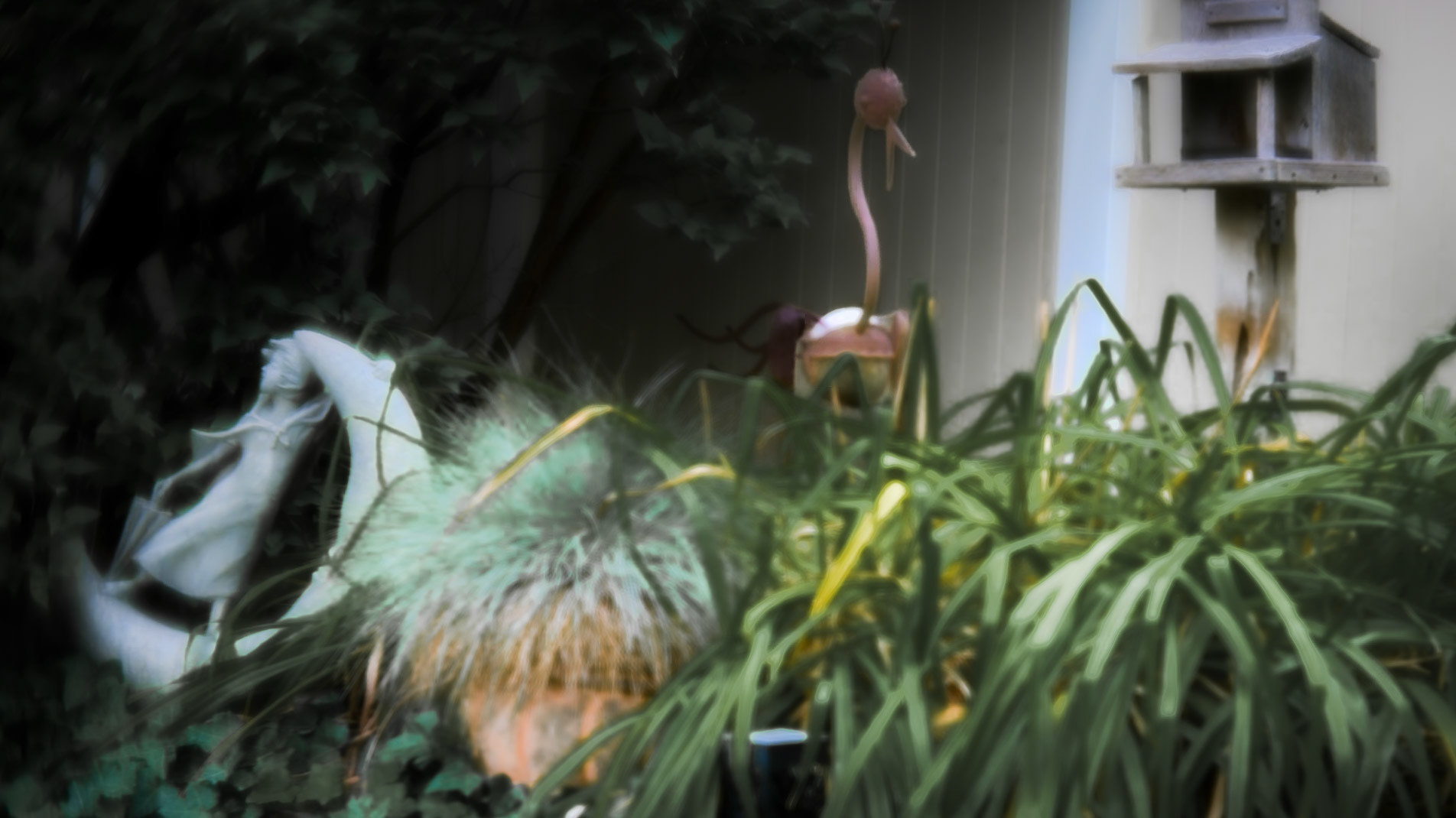 Softly in the garden