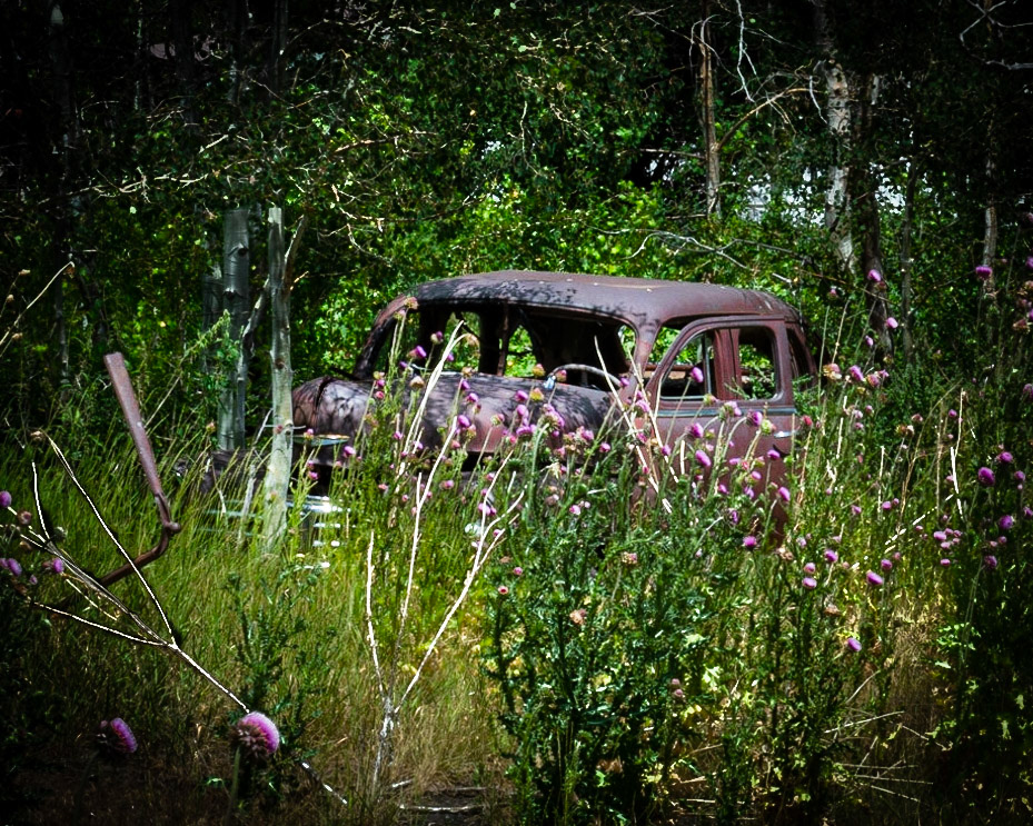 Rust amongst the thistle - Scofield, UT