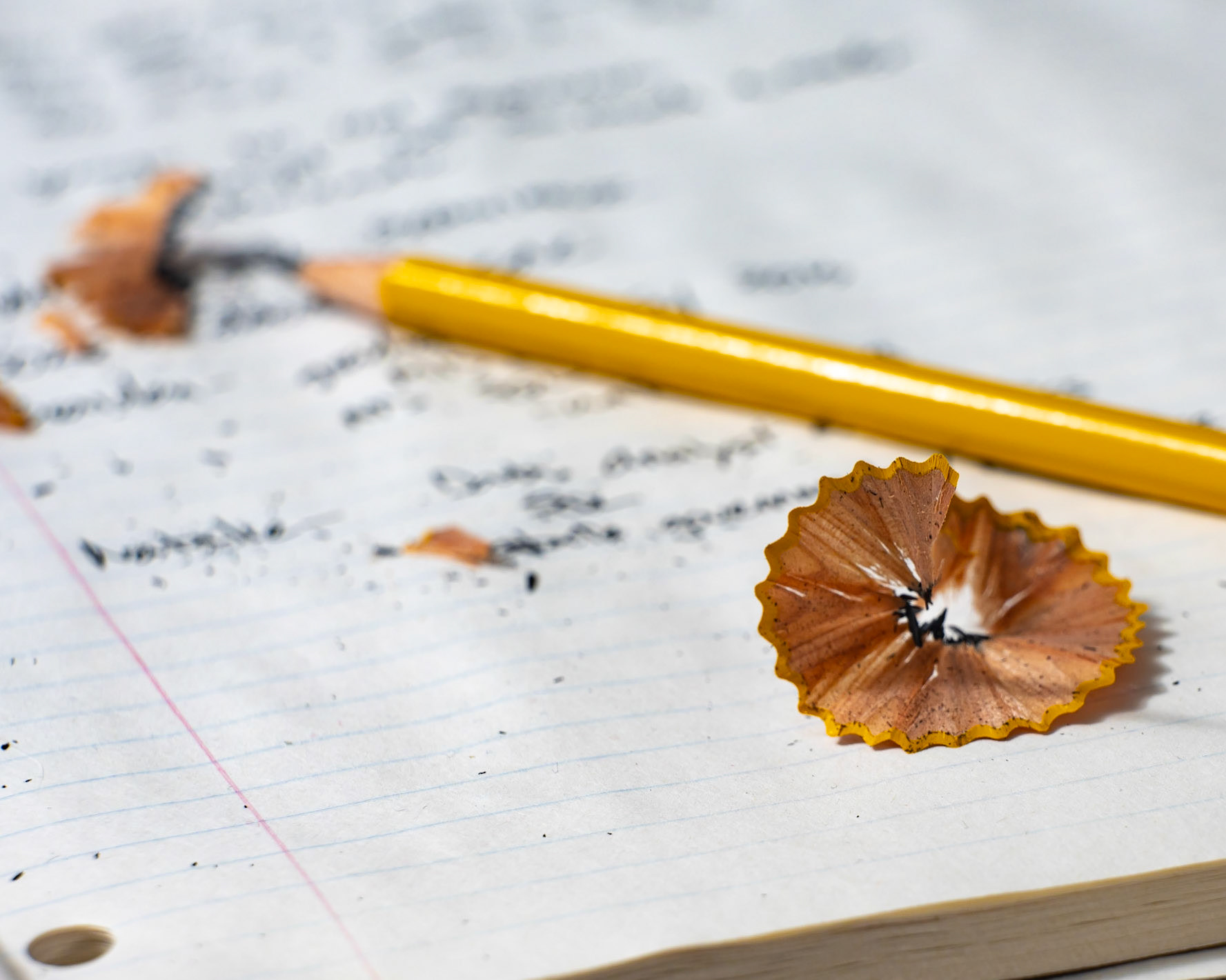 Pencil Shavings
