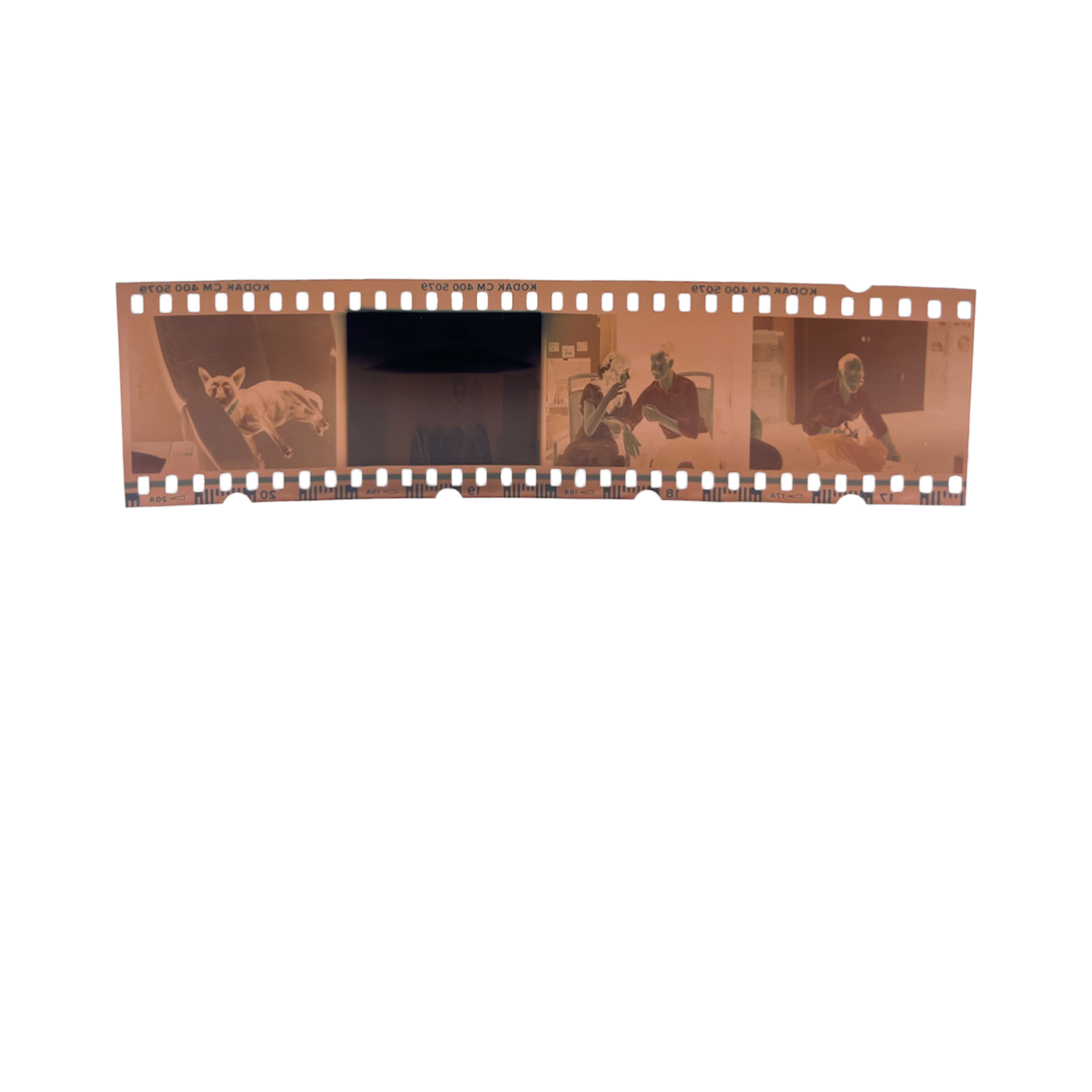 Film Strip.