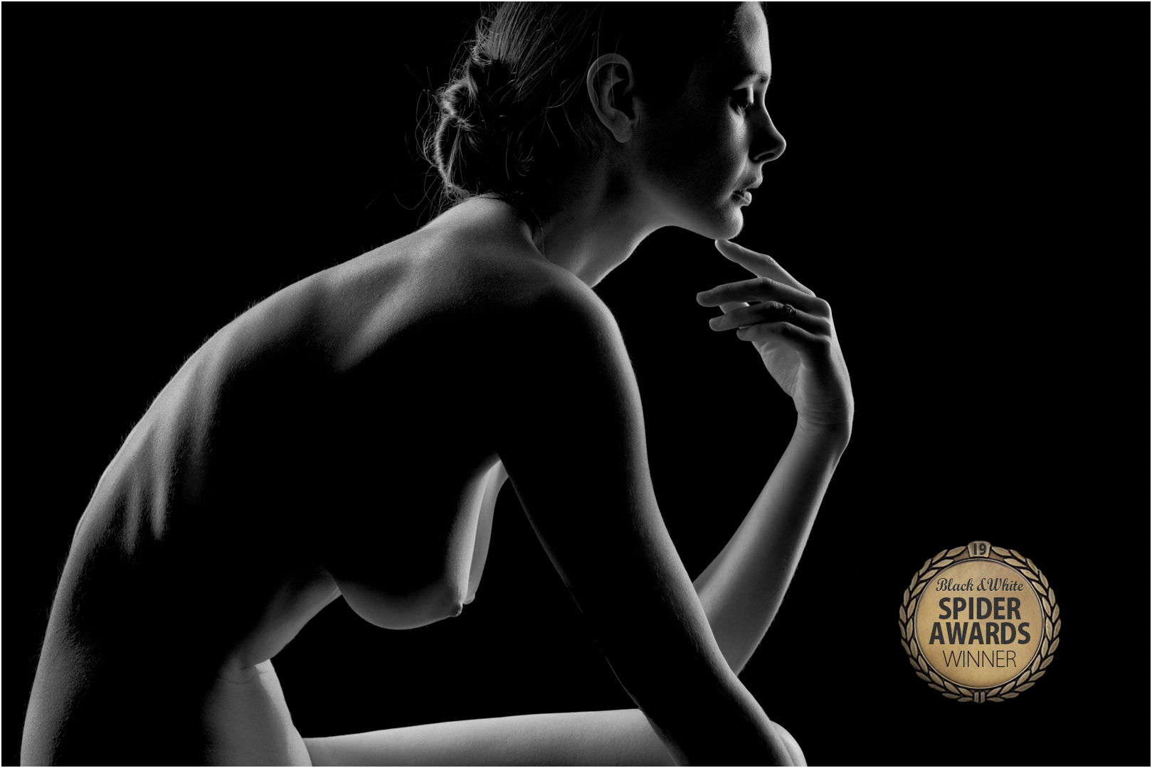 International B&W Spyder Awards 2023 Silver