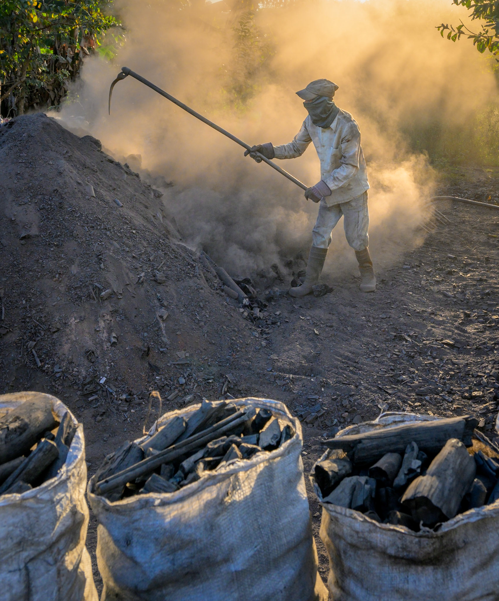 Digging Charcoal