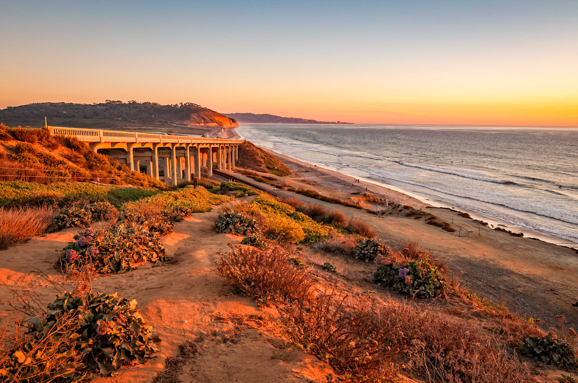 Torrey Pines Beach - San Diego California