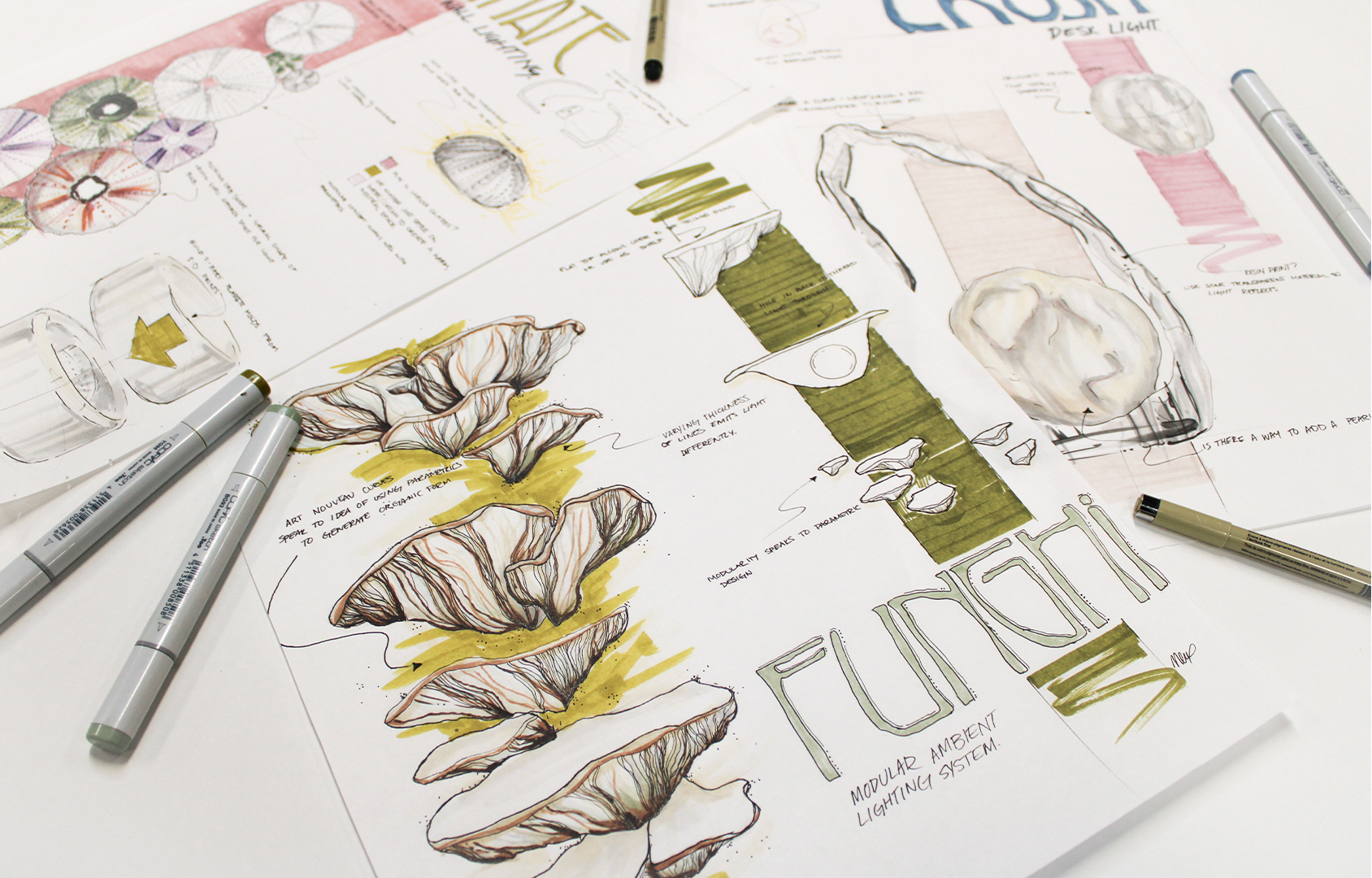 ECHO ideation 01