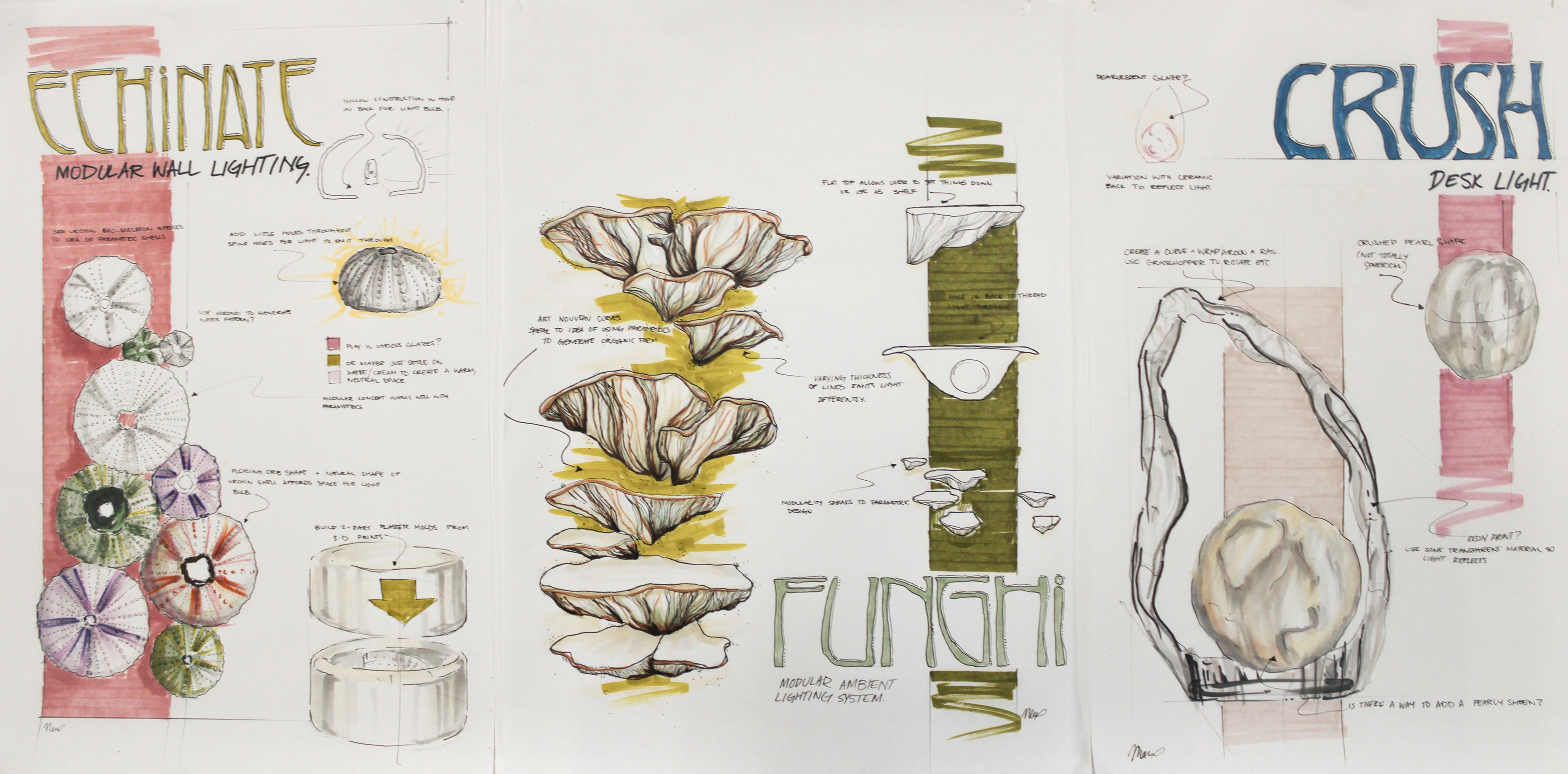ECHO ideation 03