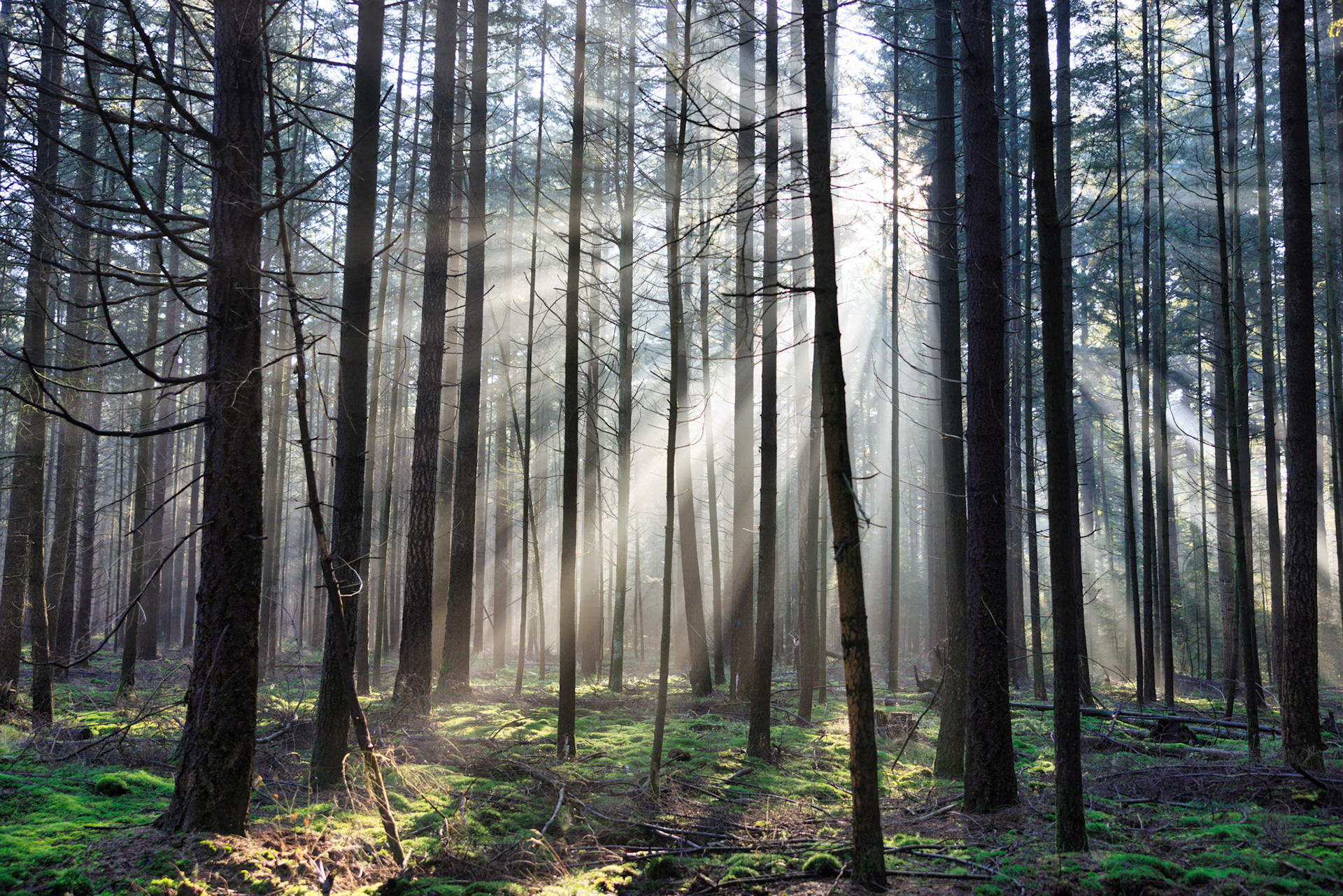 Het ochtendgloren in het prachtige Putten