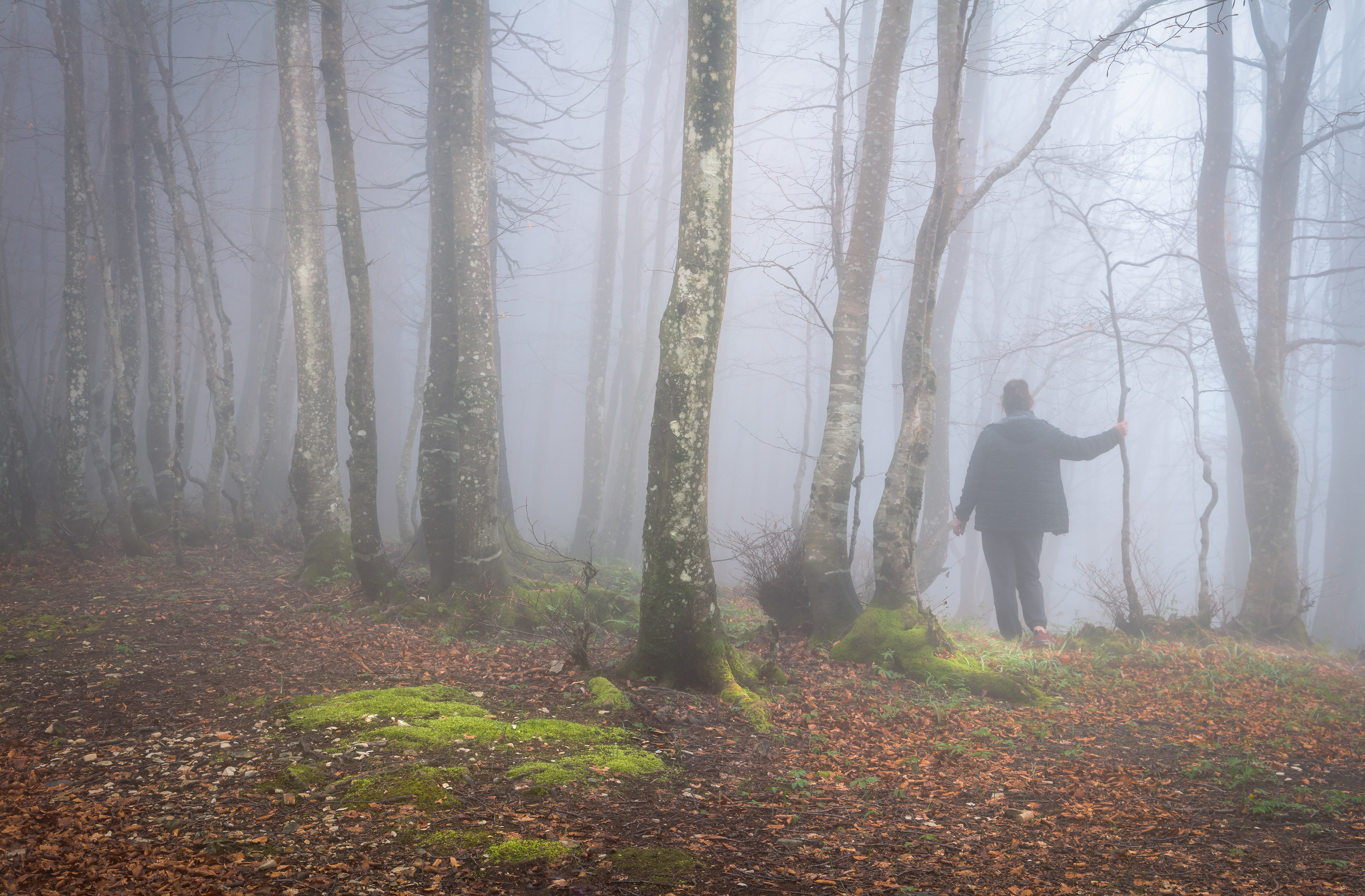 dove sto meglio...tra la nebbia.