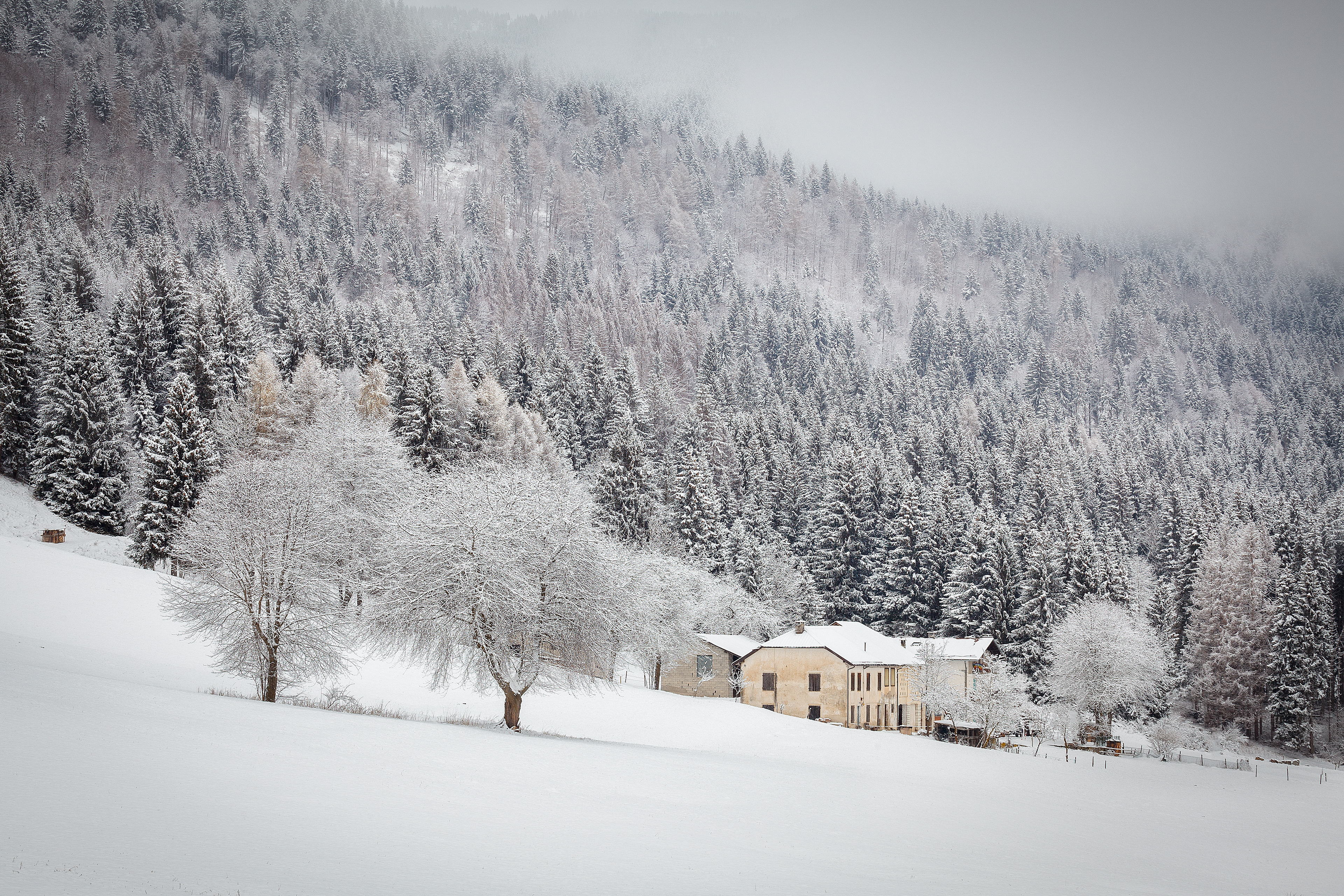 Case Carlini in Winter