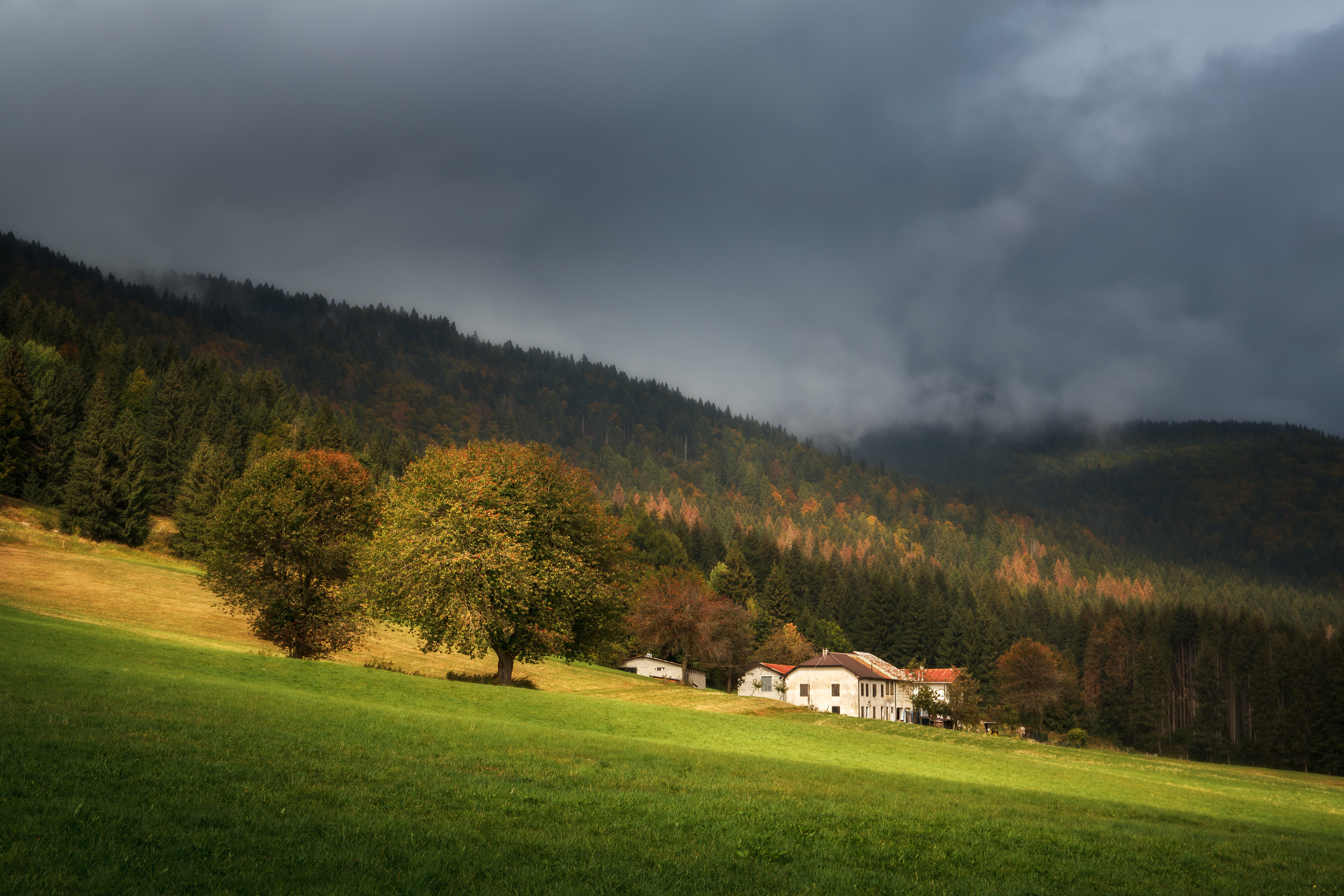 Case Carlini in Autumn