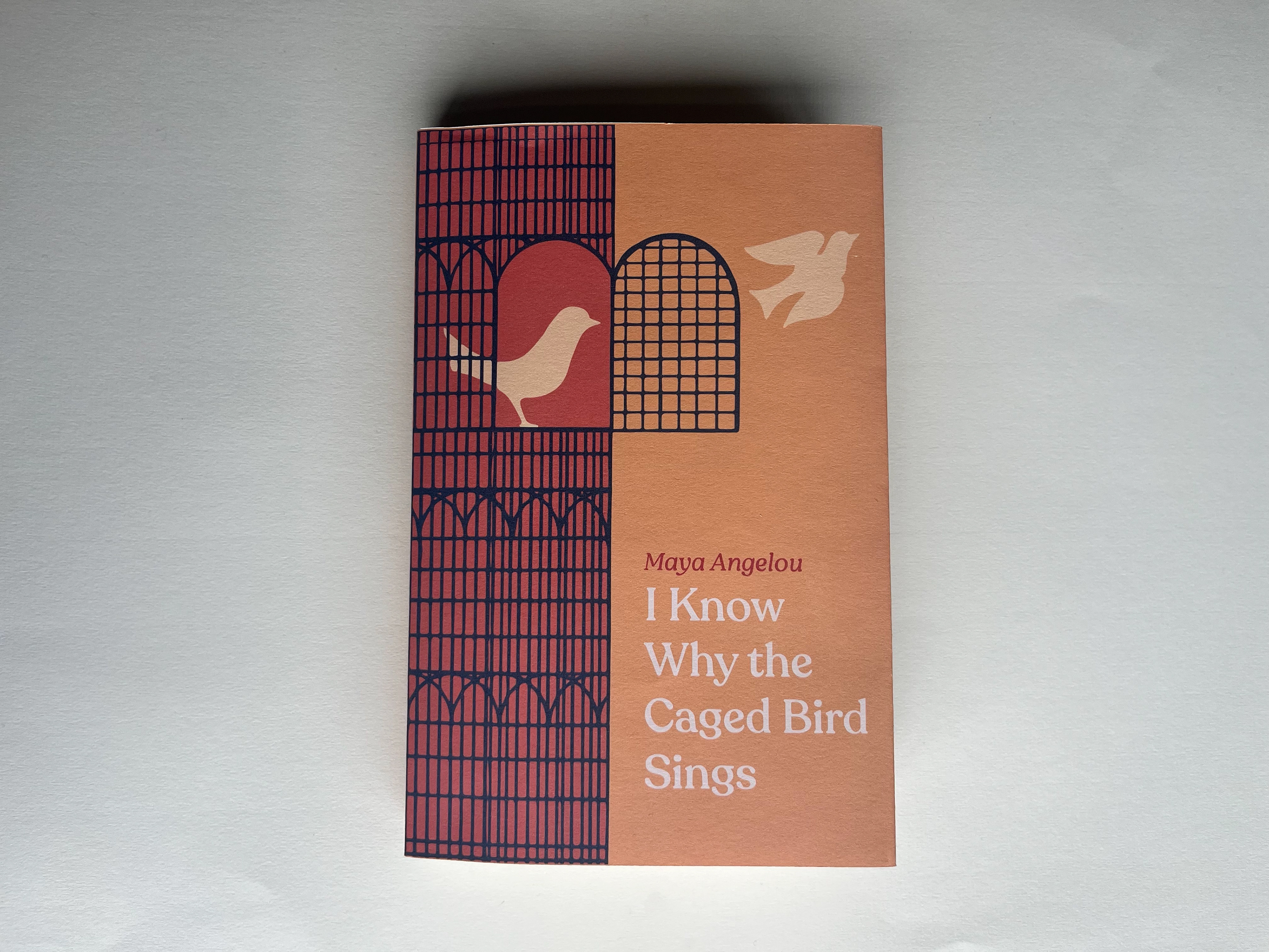 Book cover designs for dressing