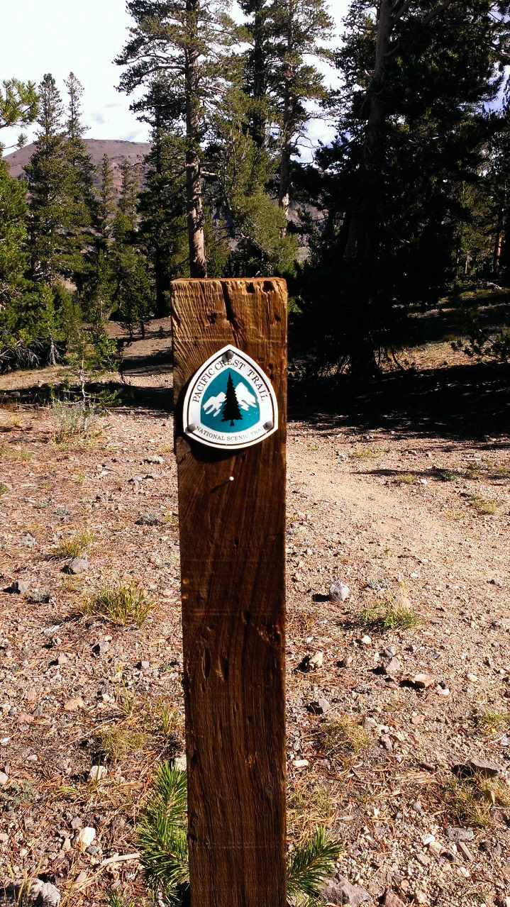 PCT, going north